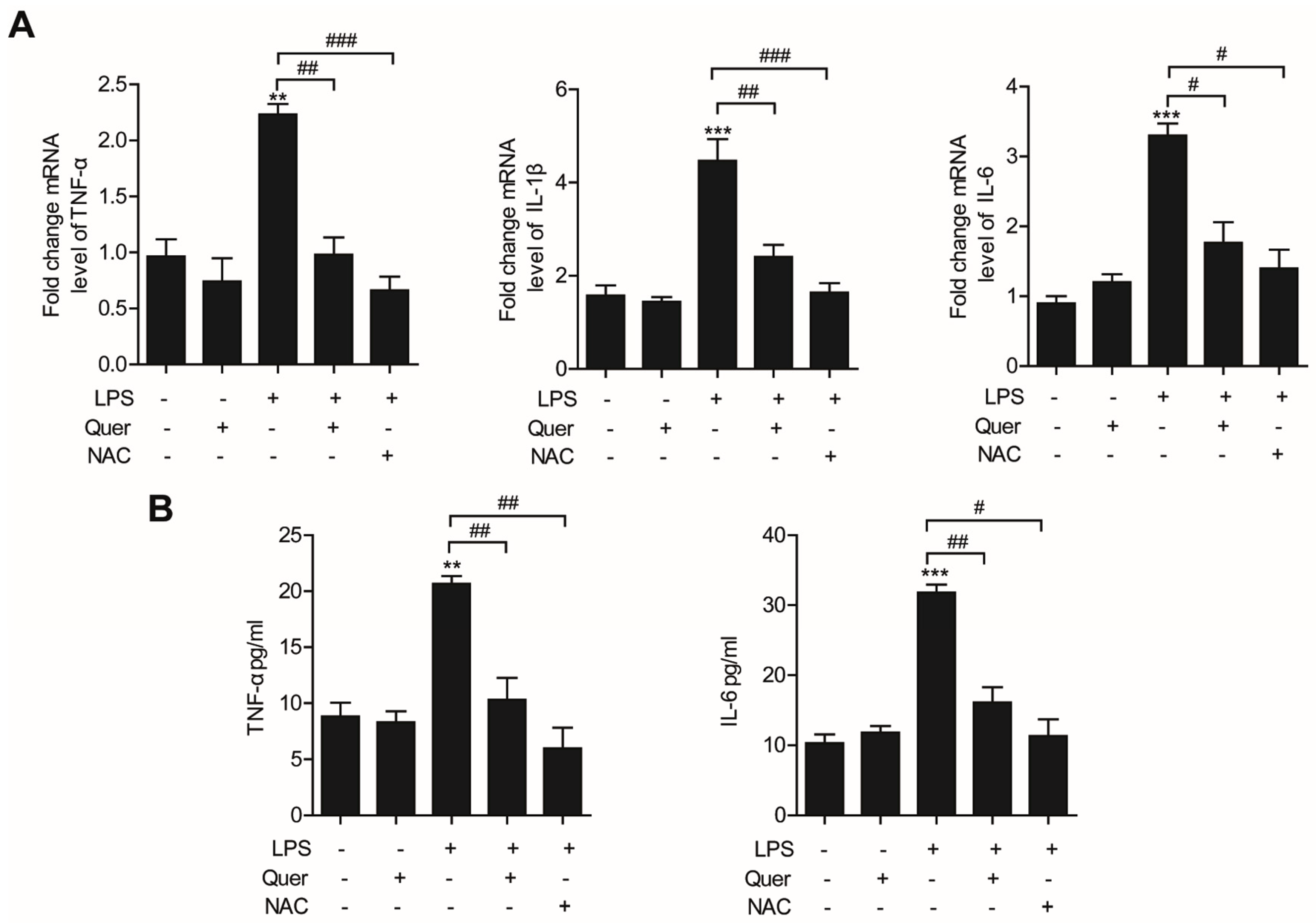 Molecules 26 06949 g004 550