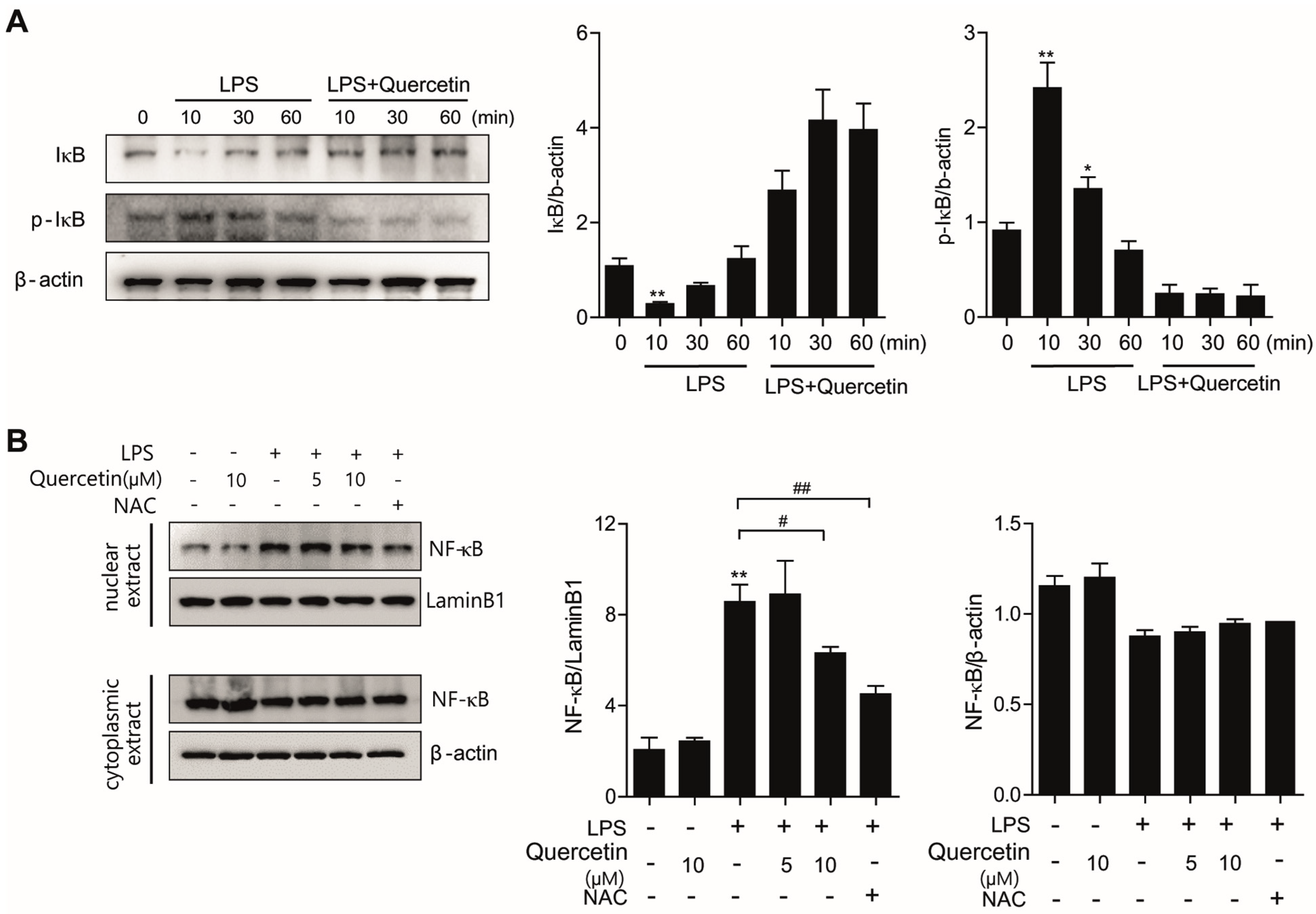 Molecules 26 06949 g005 550