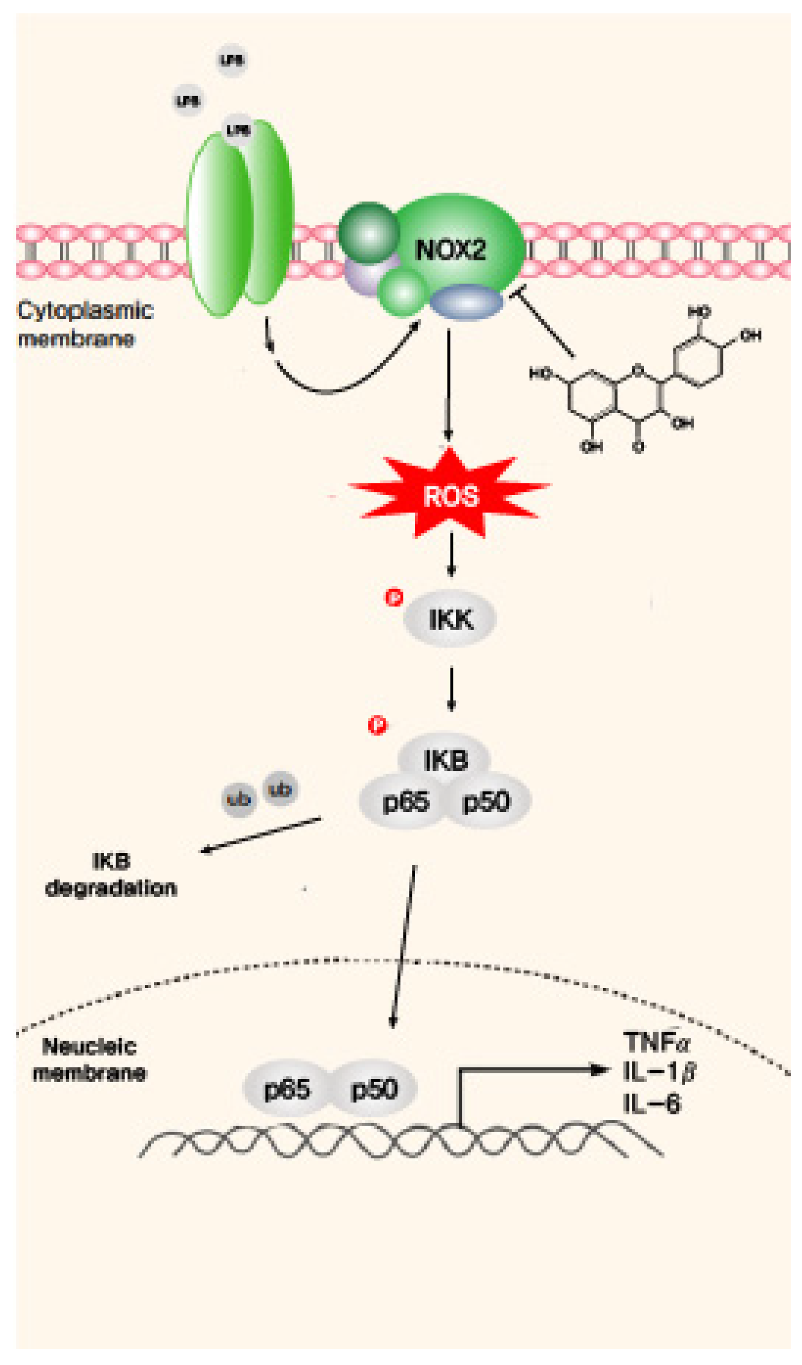 Molecules 26 06949 g006 550