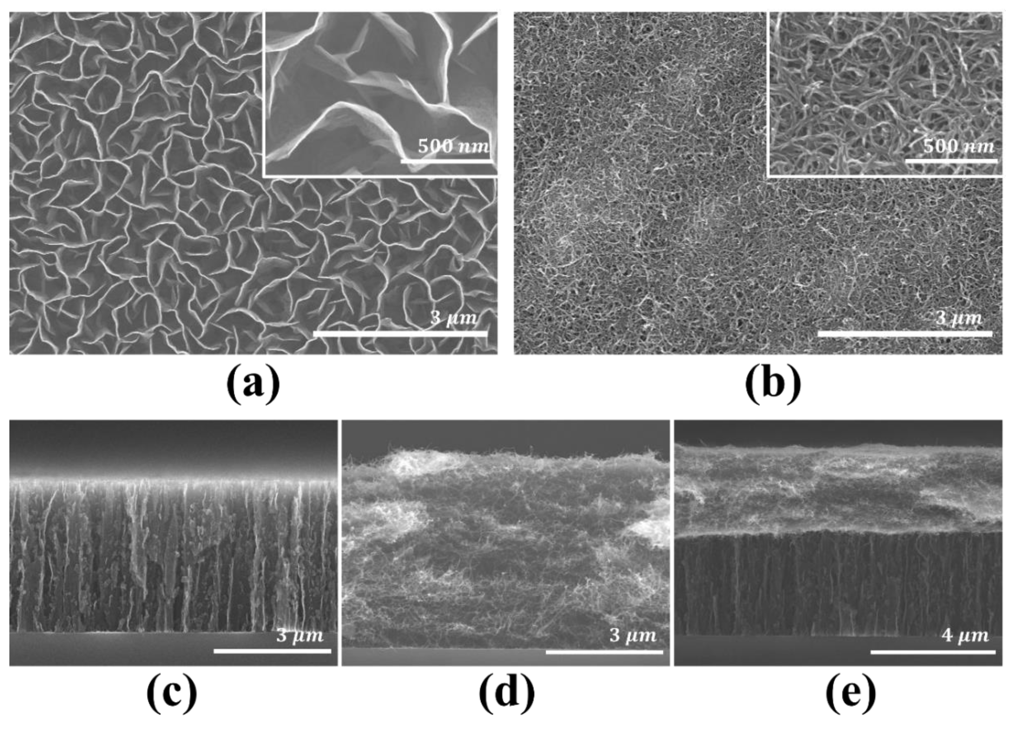 Molecules 26 06950 g003