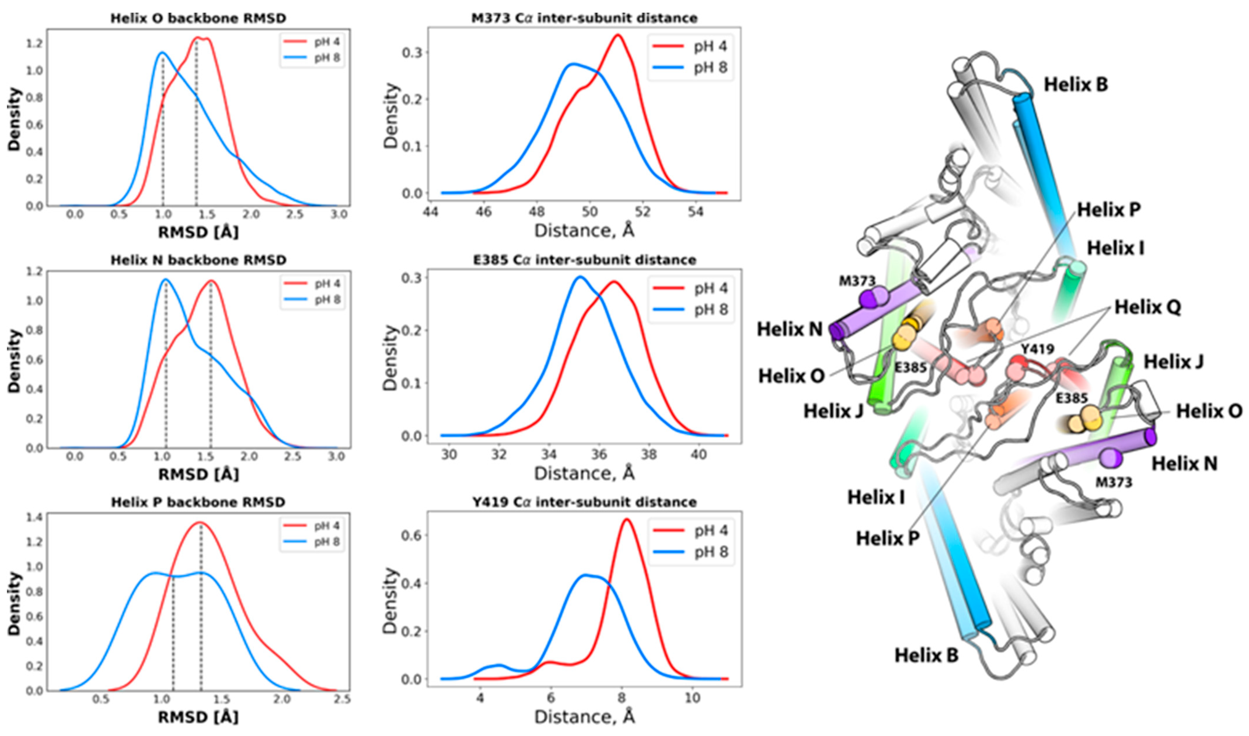 Molecules 26 06956 g002