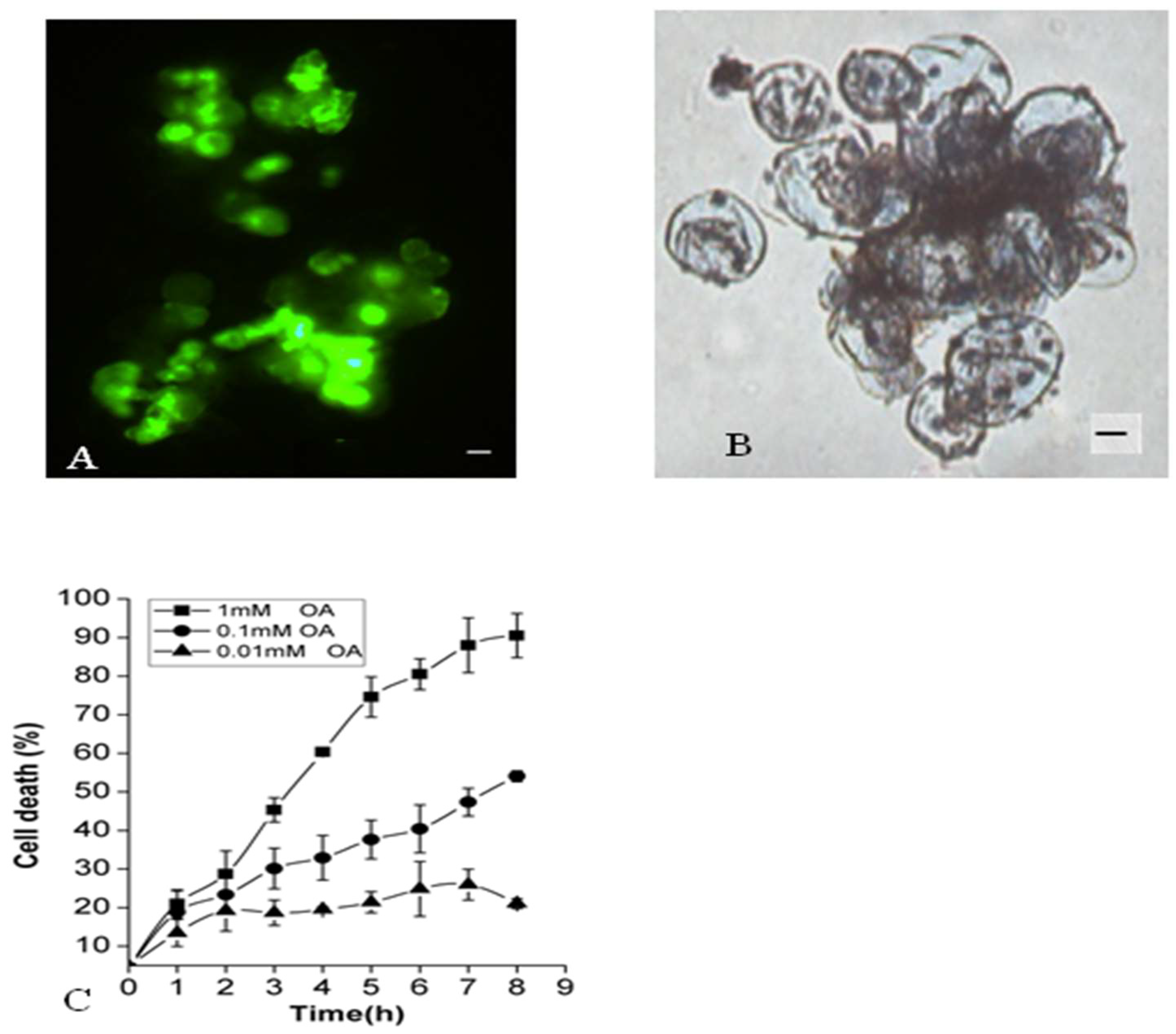 Molecules 26 06957 g001