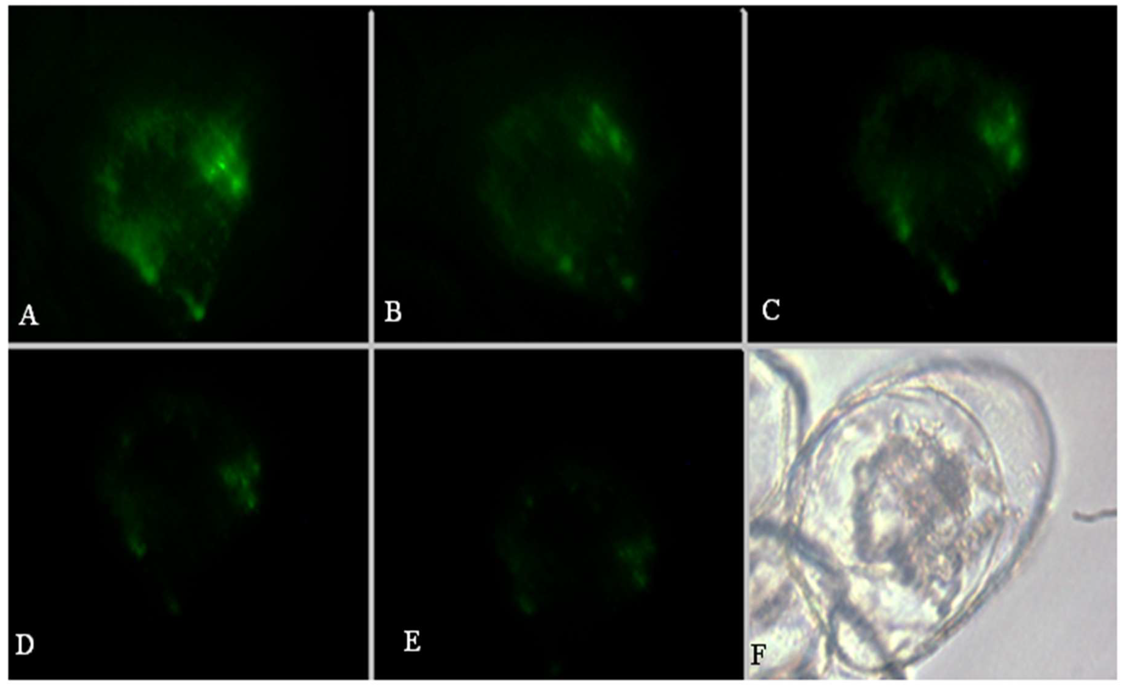 Molecules 26 06957 g002