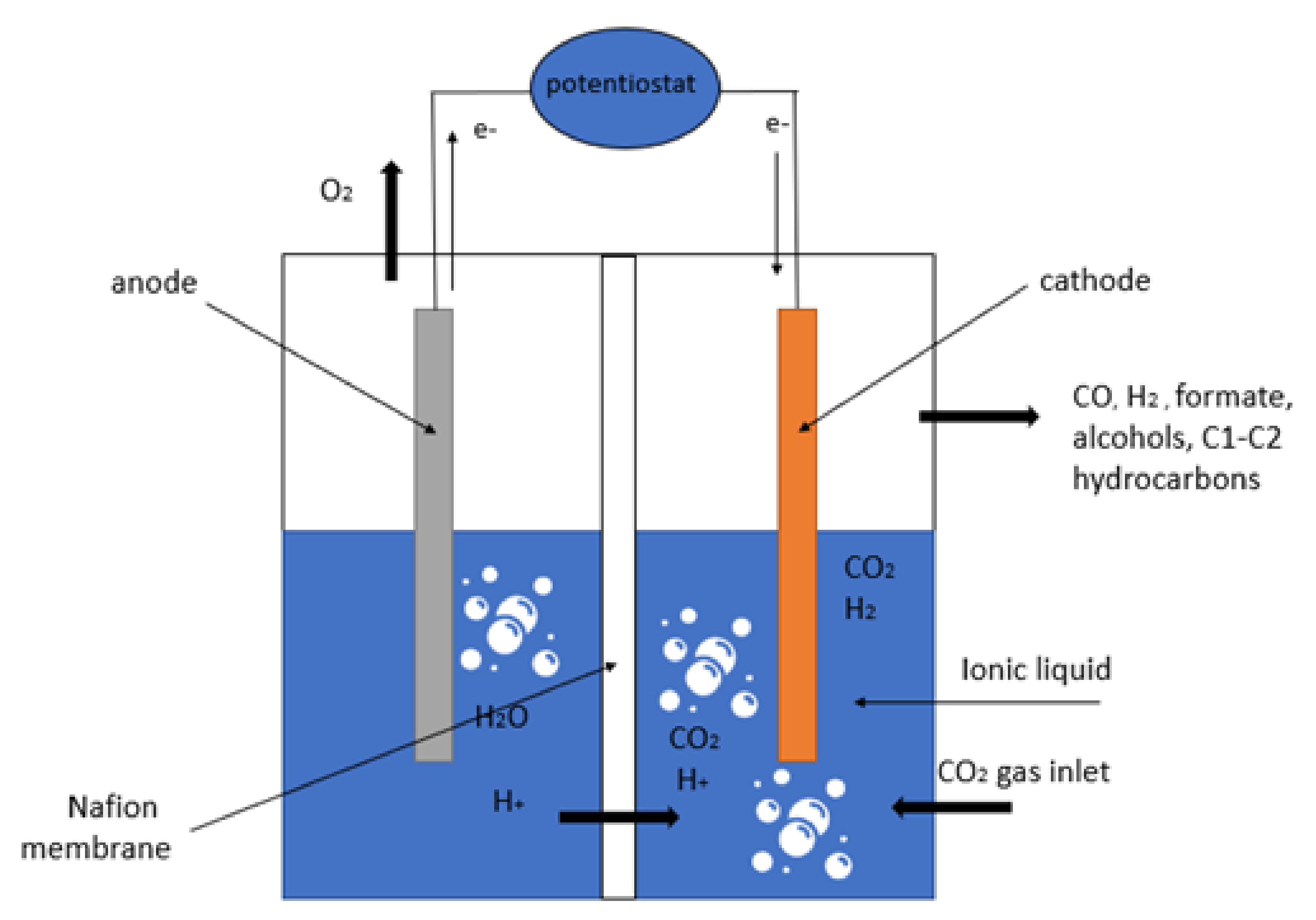 Molecules 26 06962 g002 Molecules 26 06962 g002