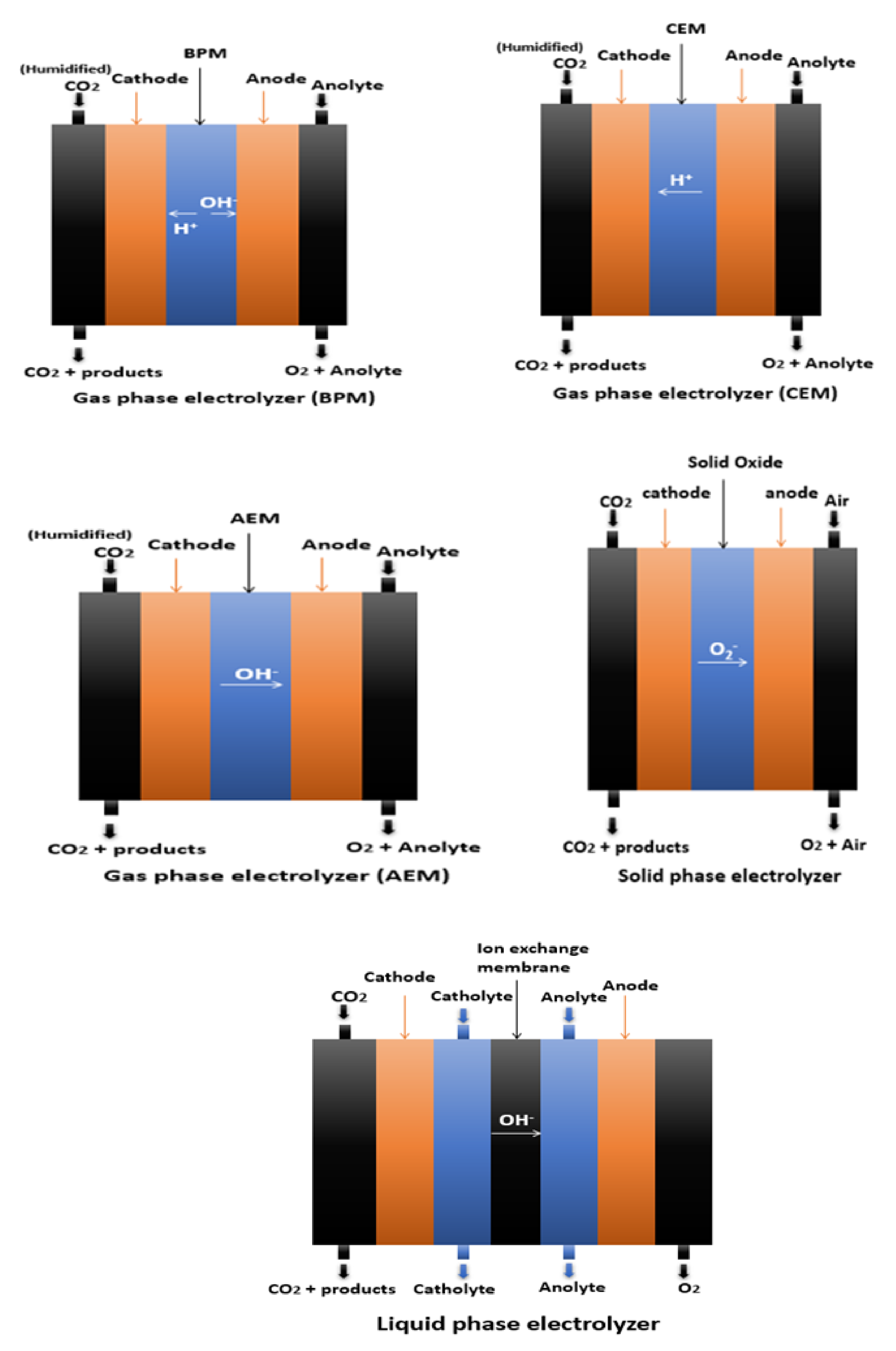 Molecules 26 06962 g004 Molecules 26 06962 g004