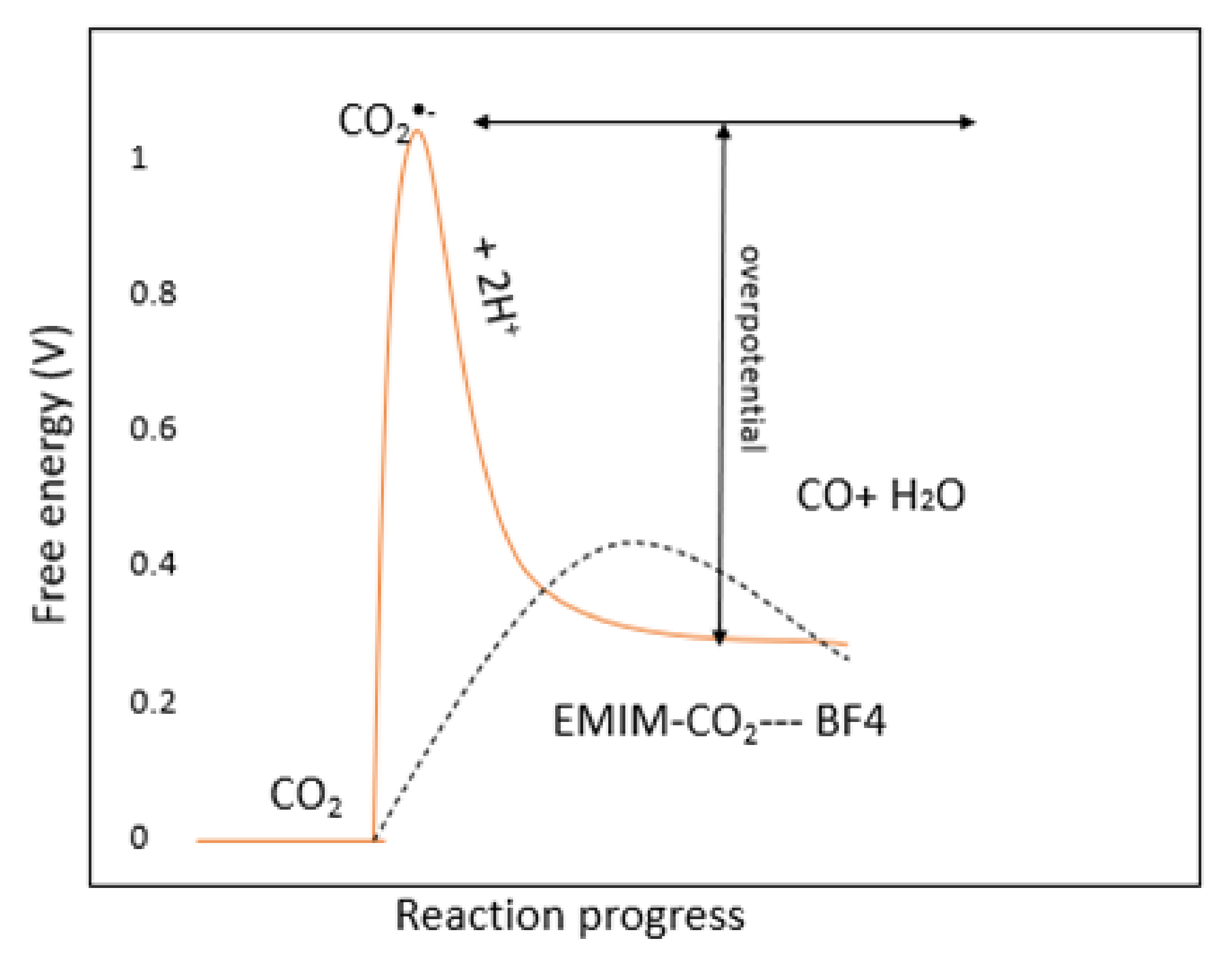 Molecules 26 06962 g009 Molecules 26 06962 g009