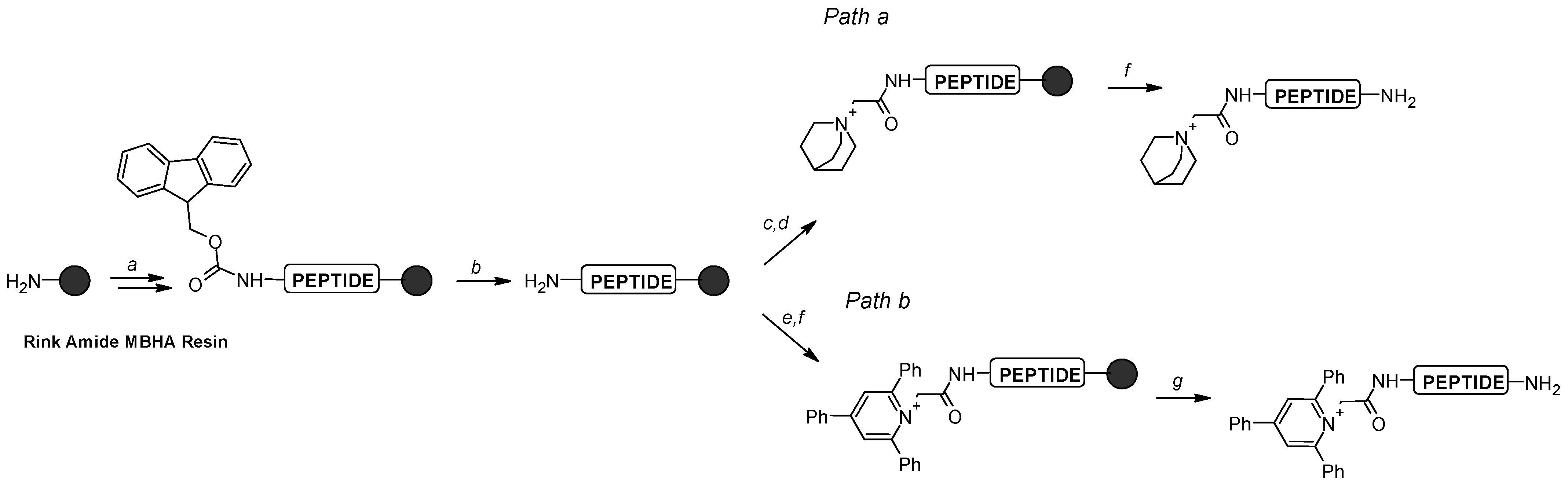 Molecules 26 06964 sch001 550