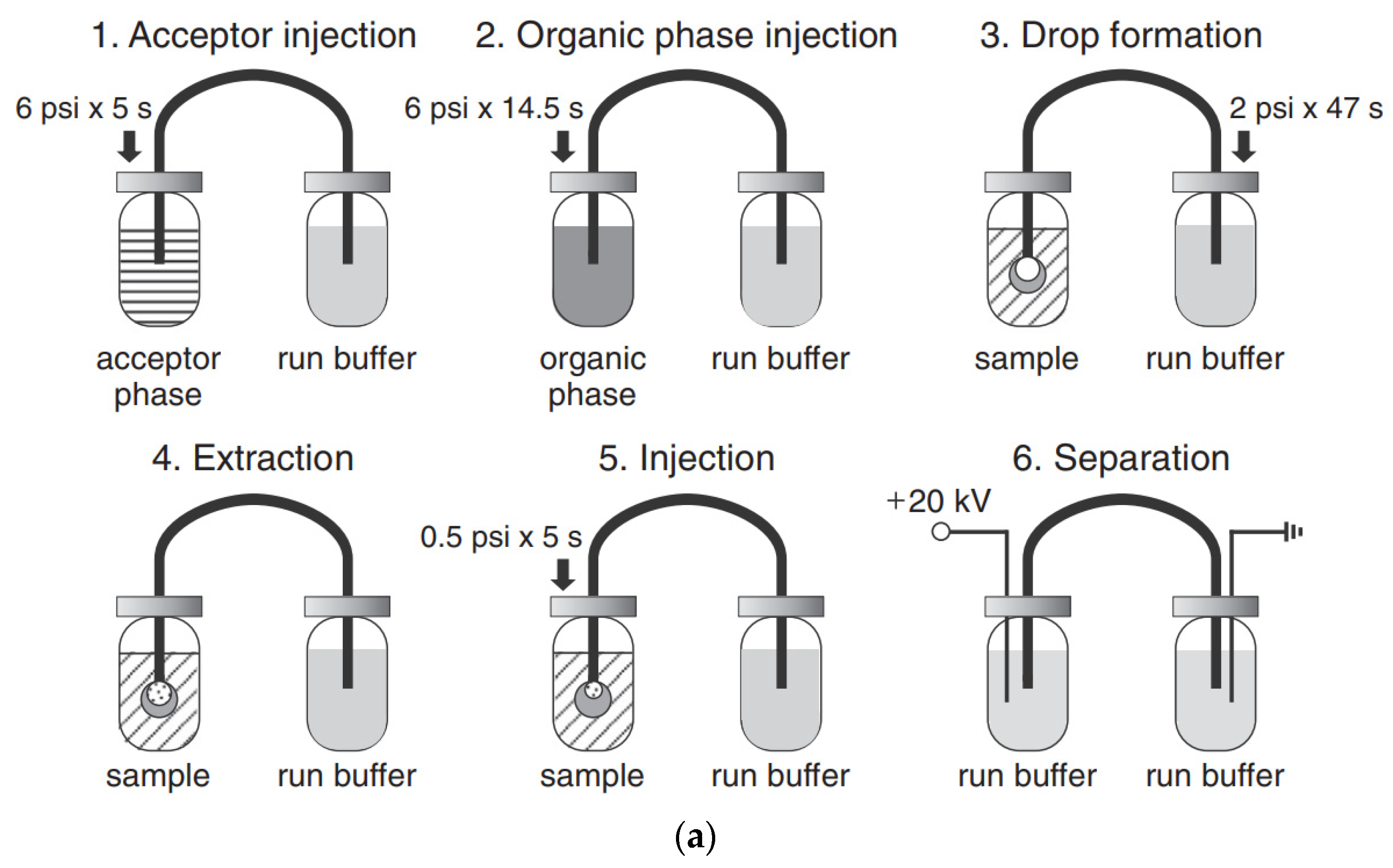 Molecules Free Full Text Application Of Capillary Electrophoresis For Determination Of Inorganic Analytes In Waters Html