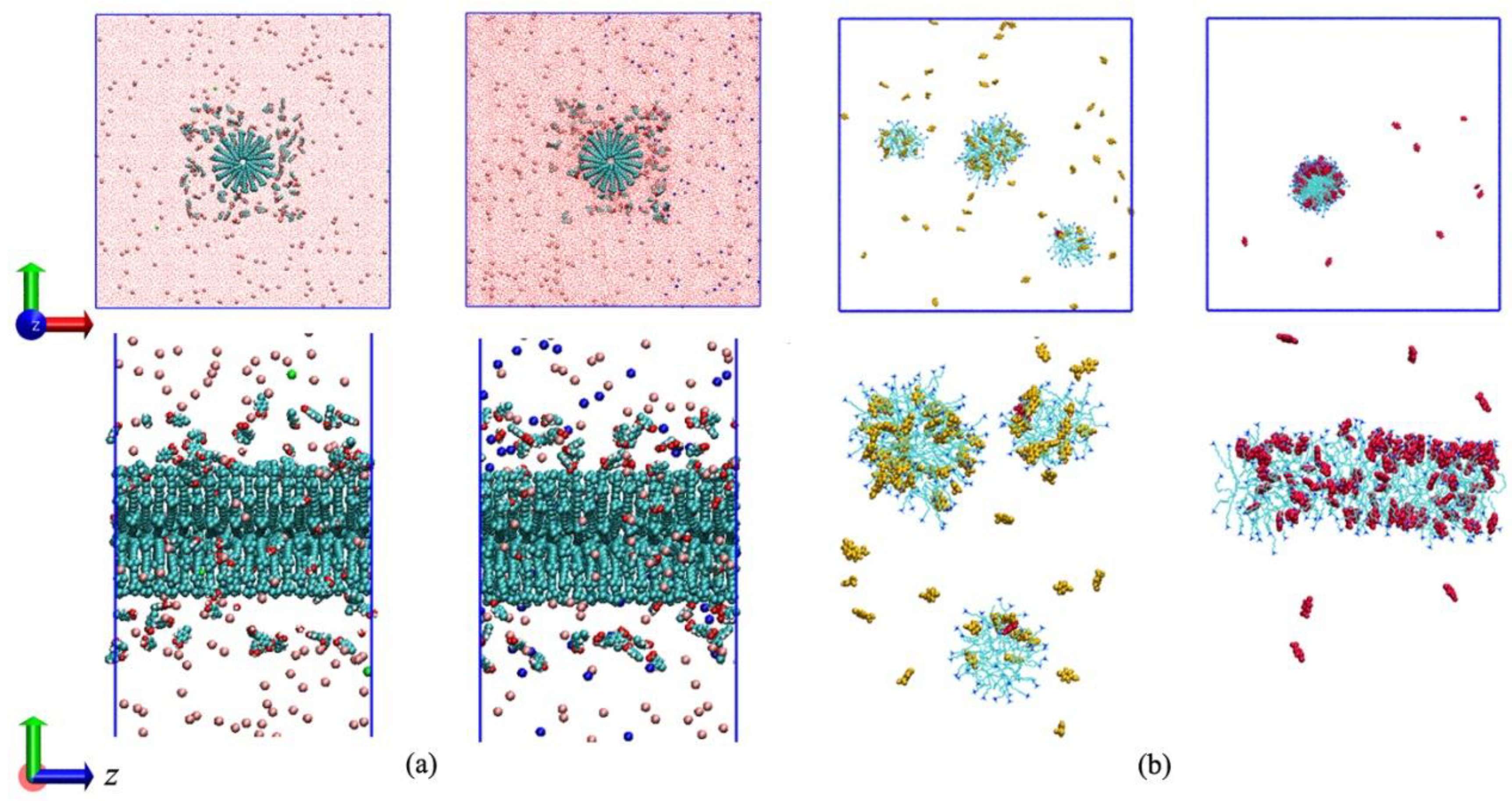 Molecules 26 06978 g001