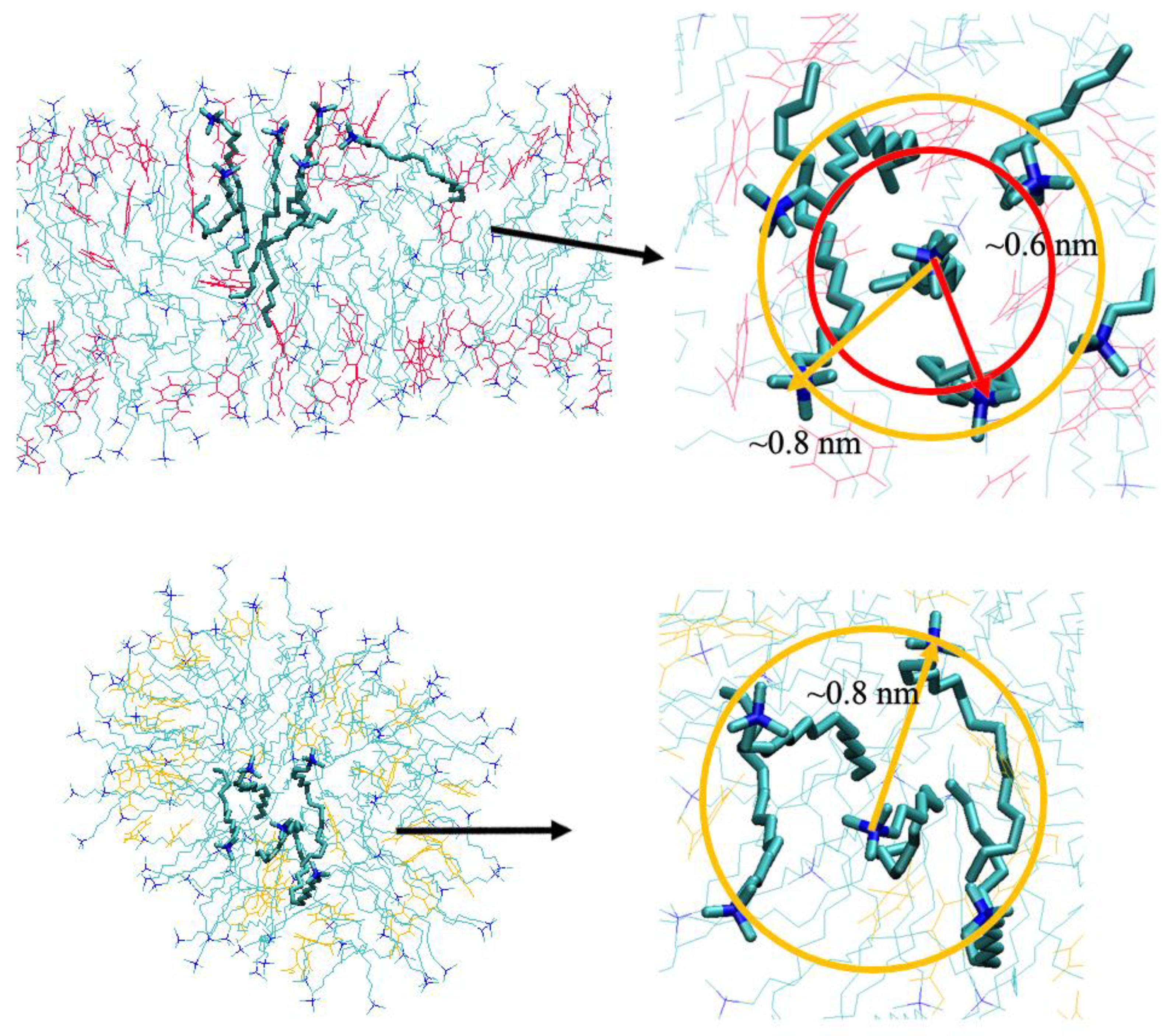 Molecules 26 06978 g007