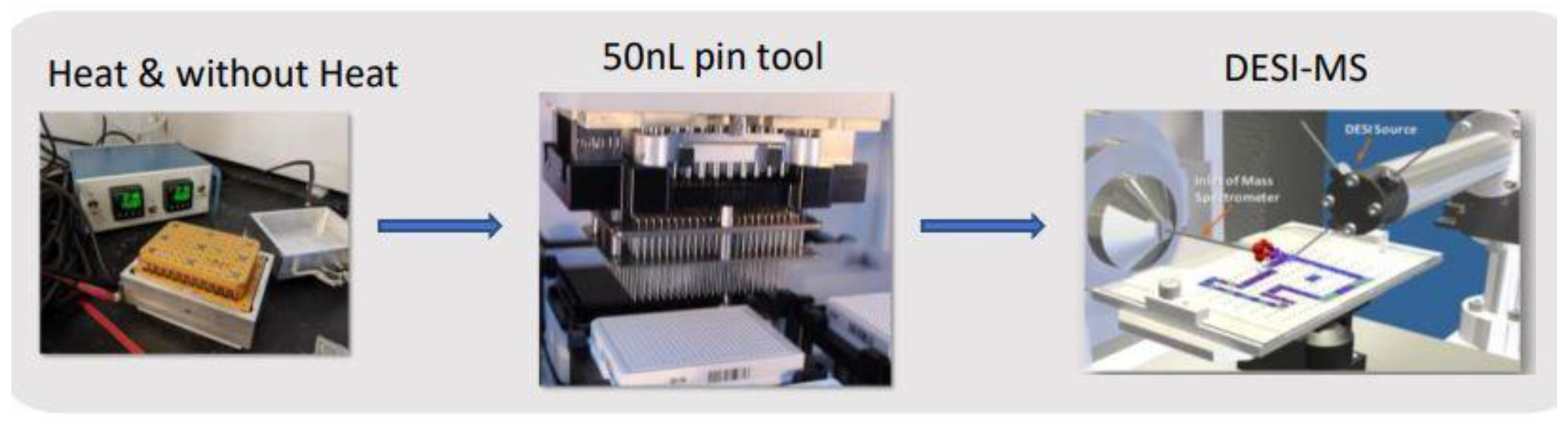 Molecules 26 06992 g005