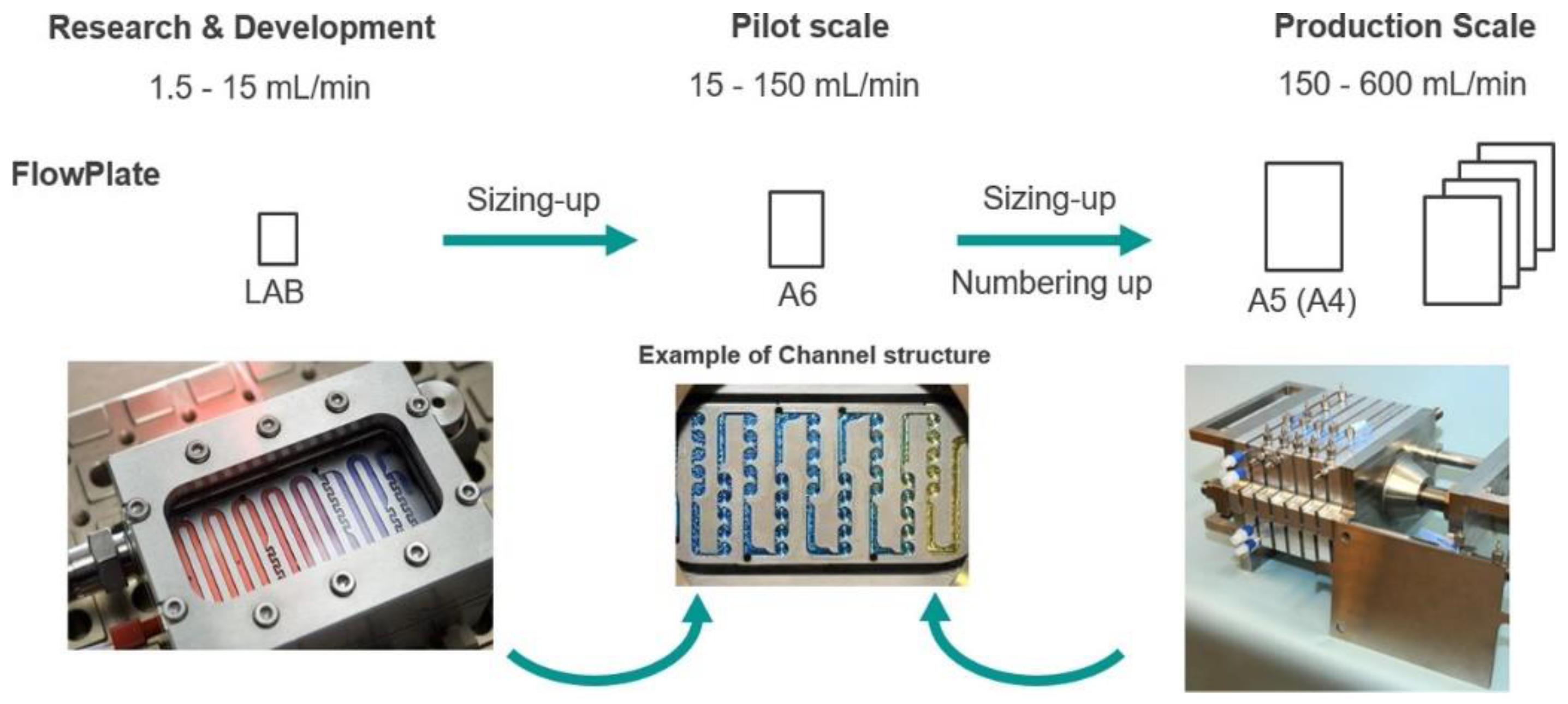 Molecules 26 06992 g007