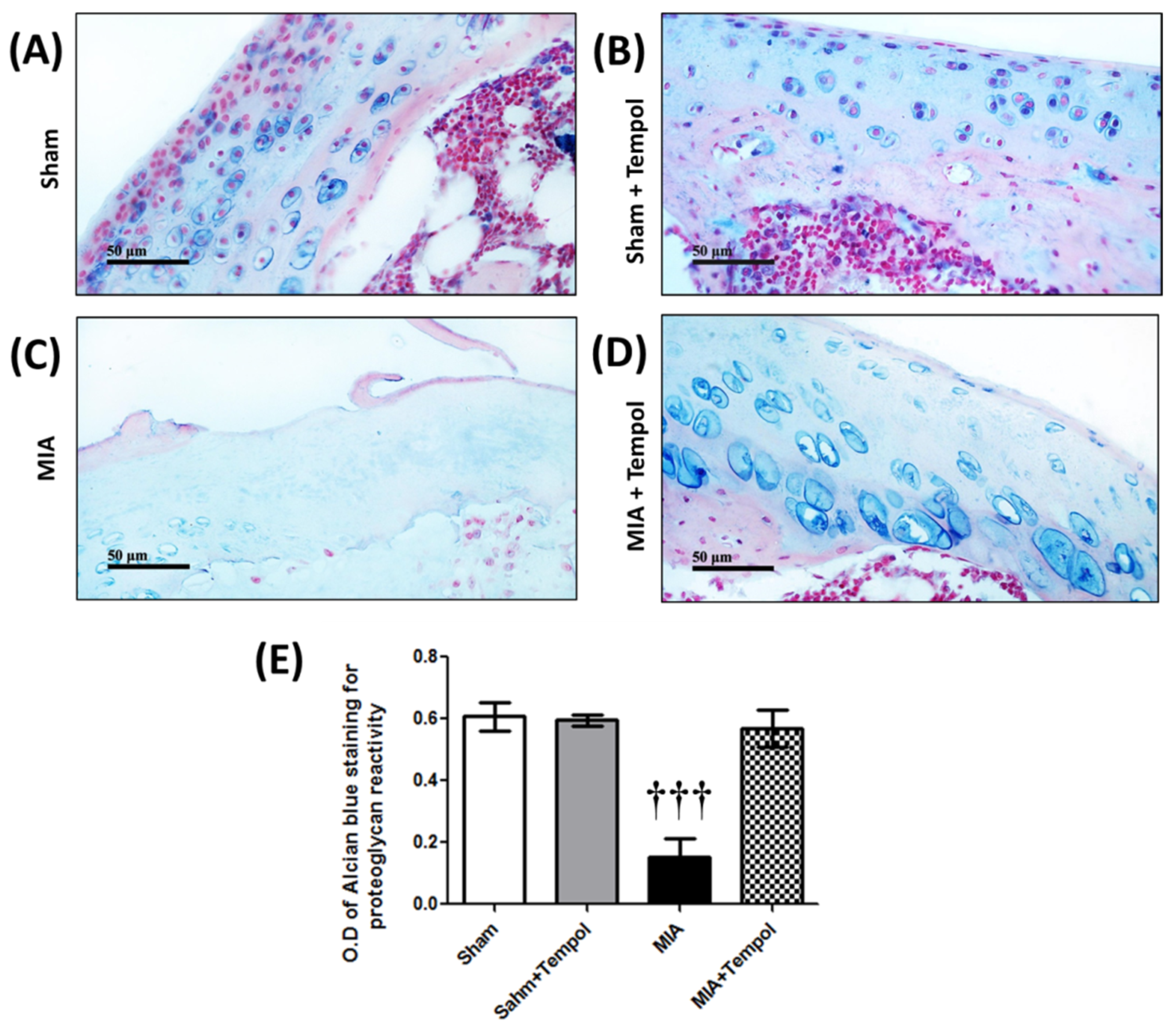 Molecules 26 06993 g009 Molecules 26 06993 g009