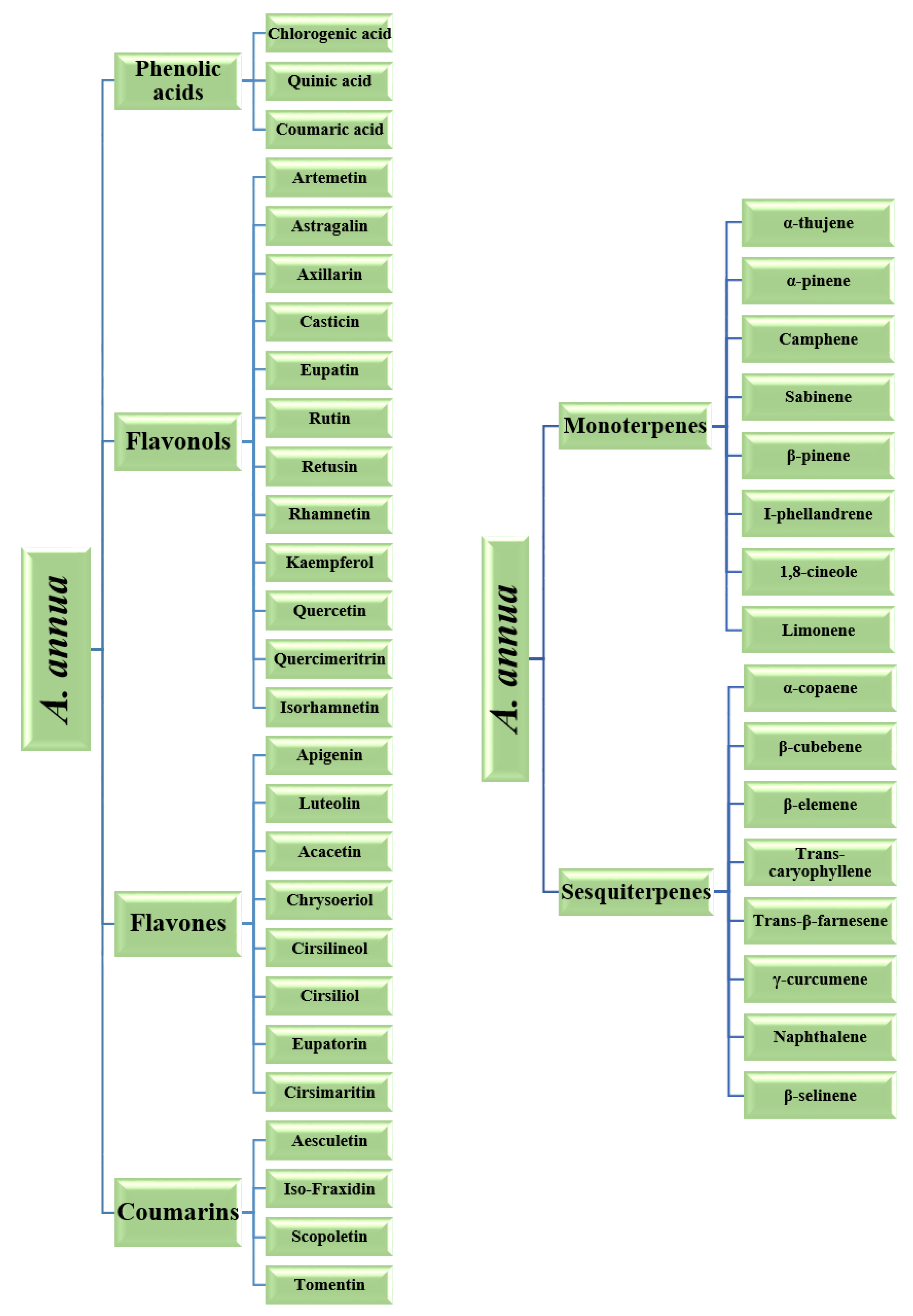Molecules 26 06995 g010