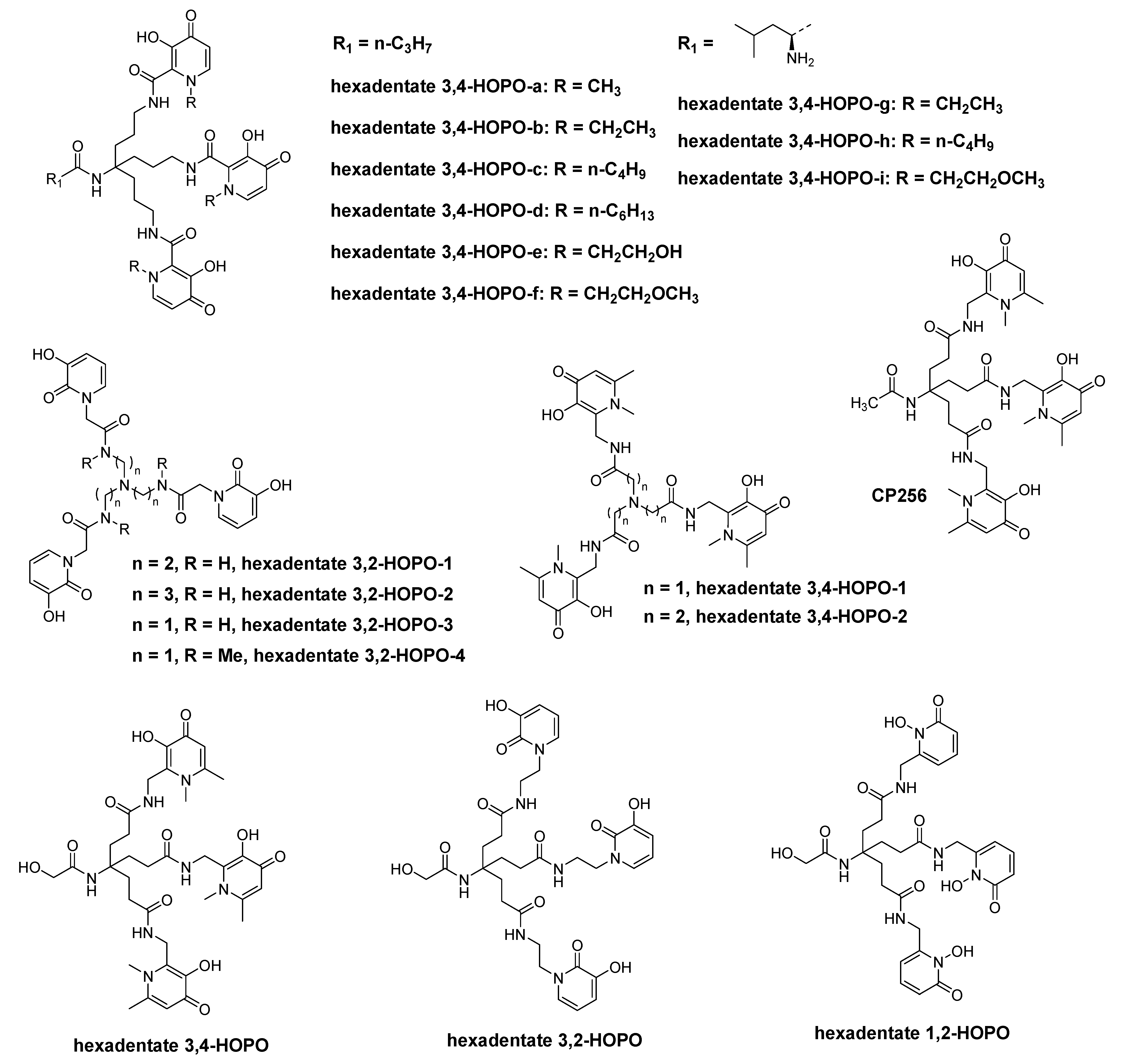 Molecules 26 06997 g004