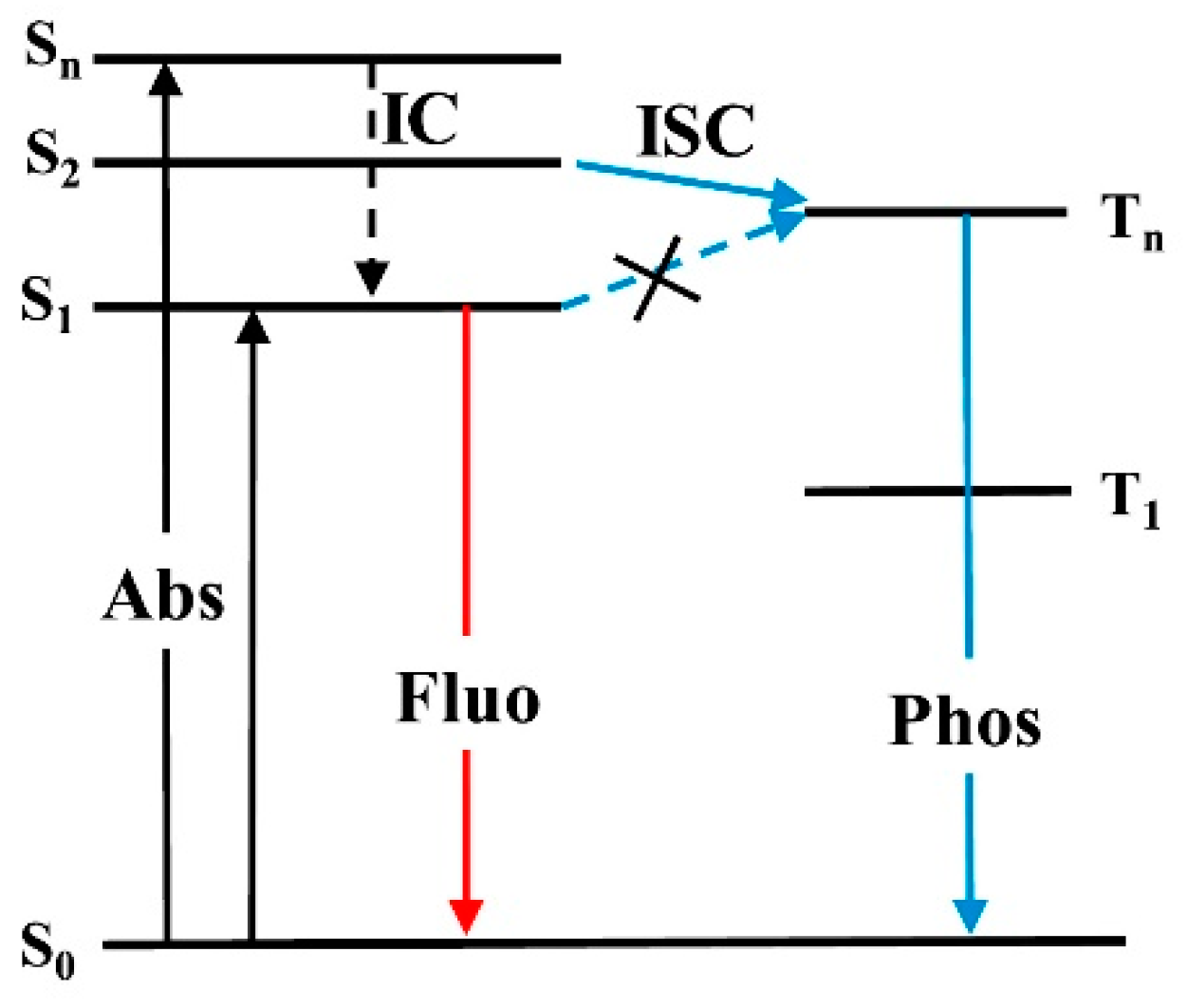 Molecules 26 06999 g016 550