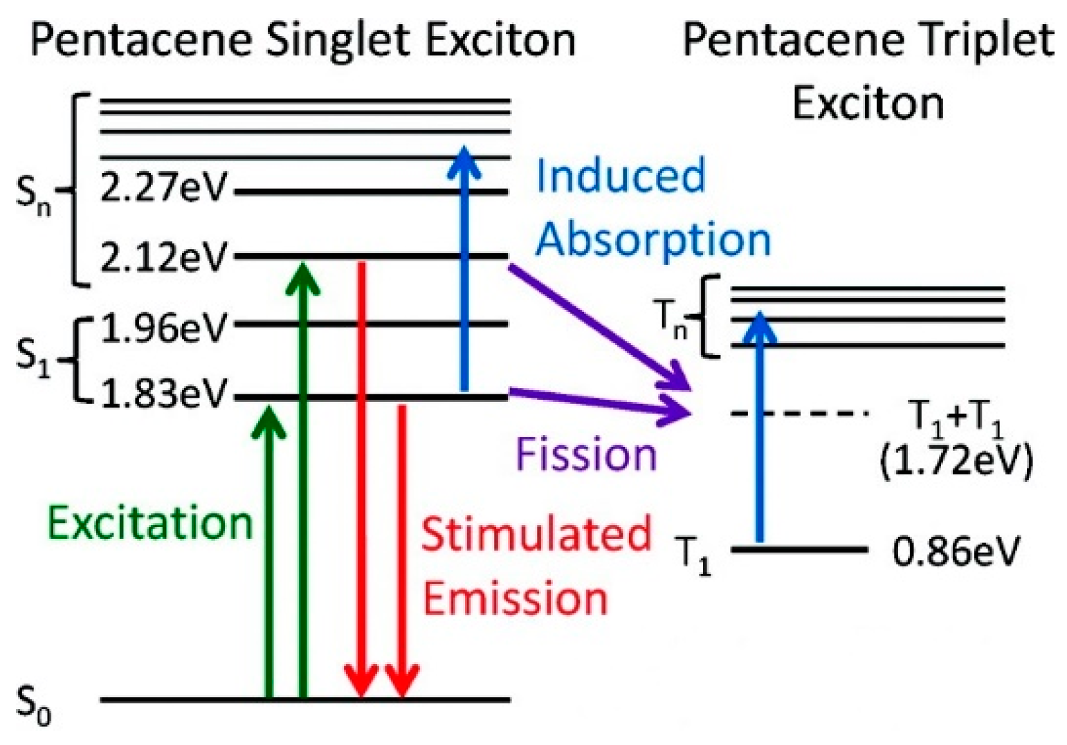Molecules 26 06999 g017 550