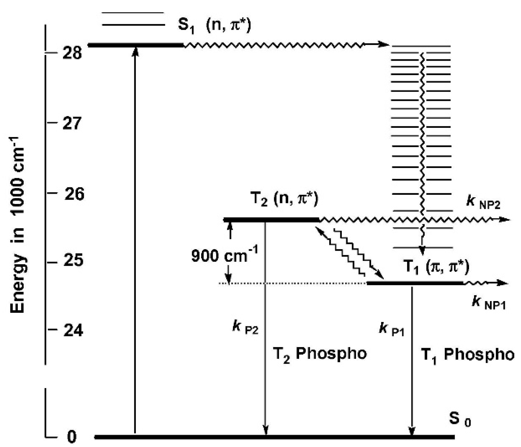 Molecules 26 06999 g018 550