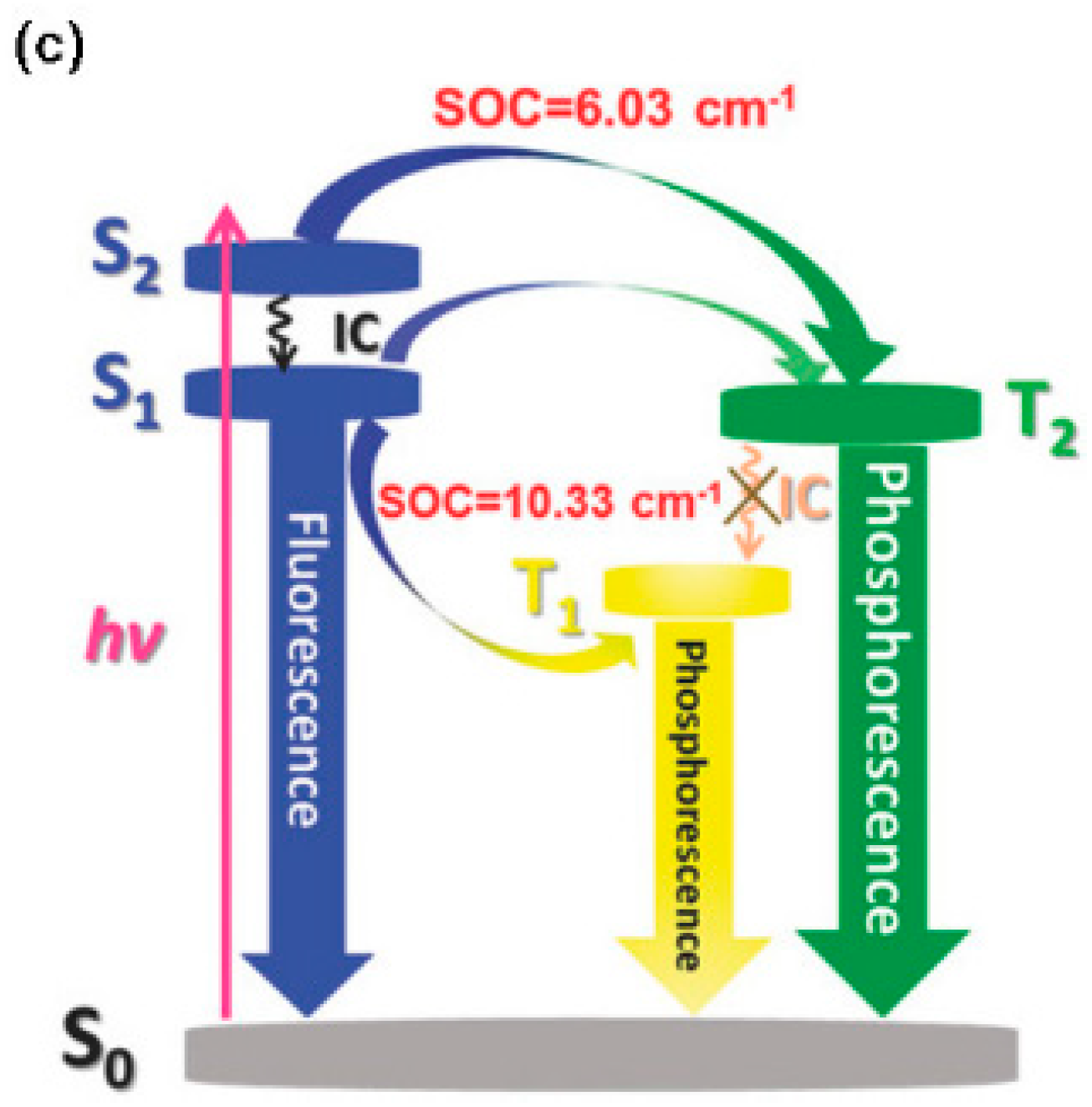 Molecules 26 06999 g020b 550