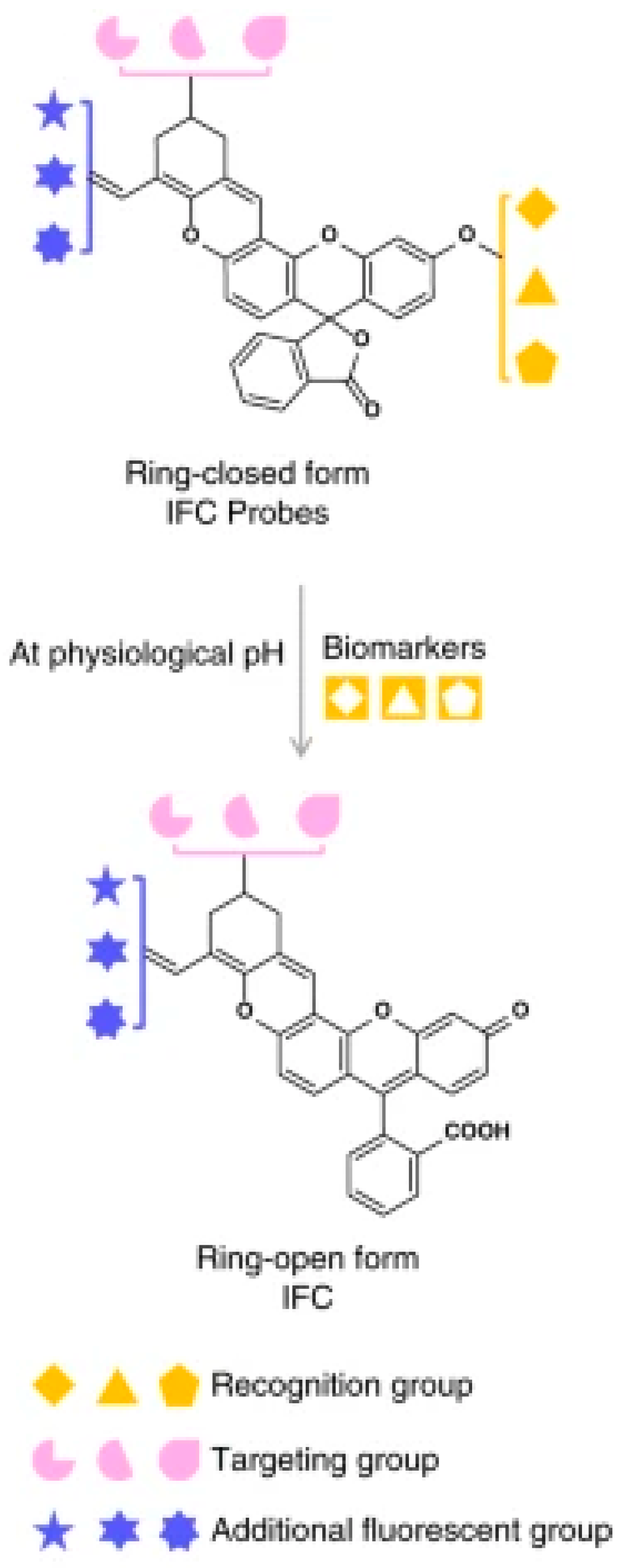 Molecules 26 06999 g025 550