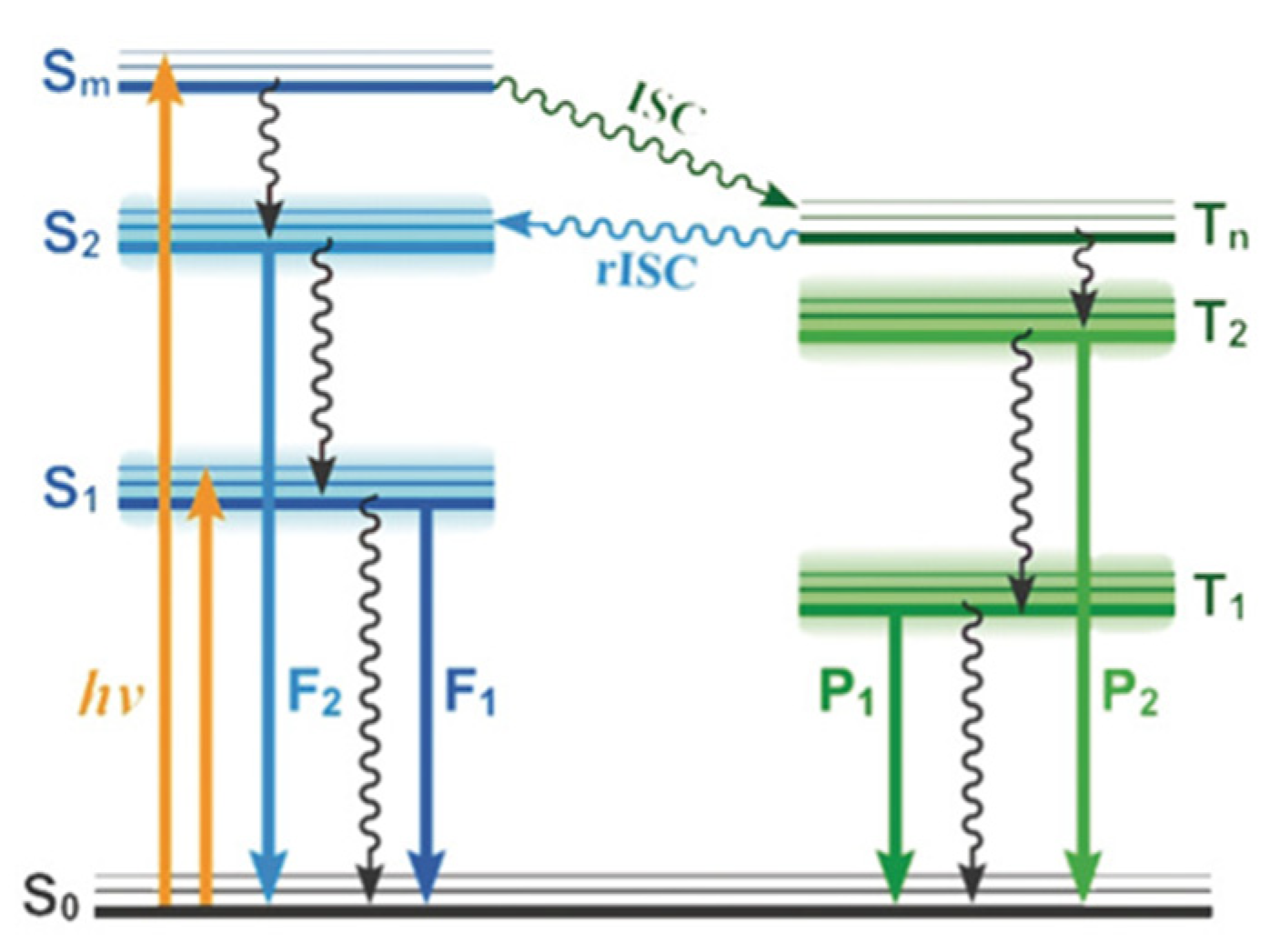 Molecules 26 06999 g027 550