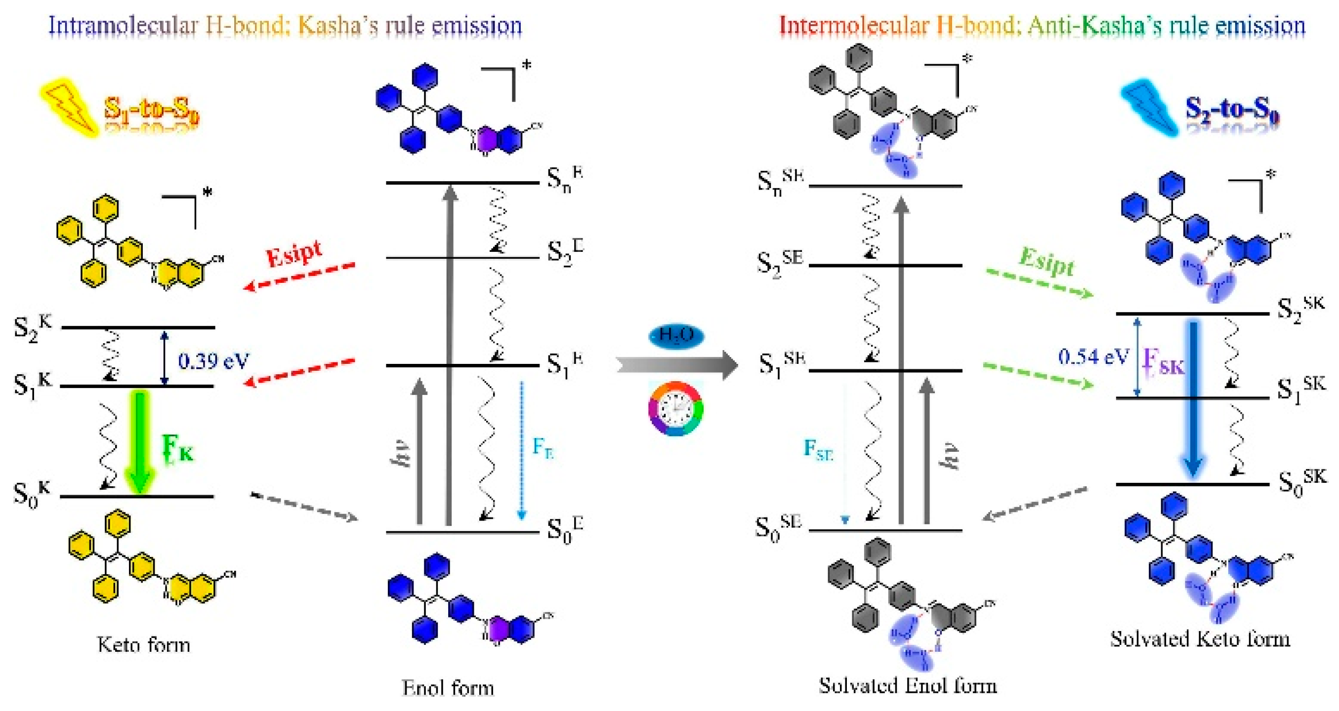 Molecules 26 06999 g028 550