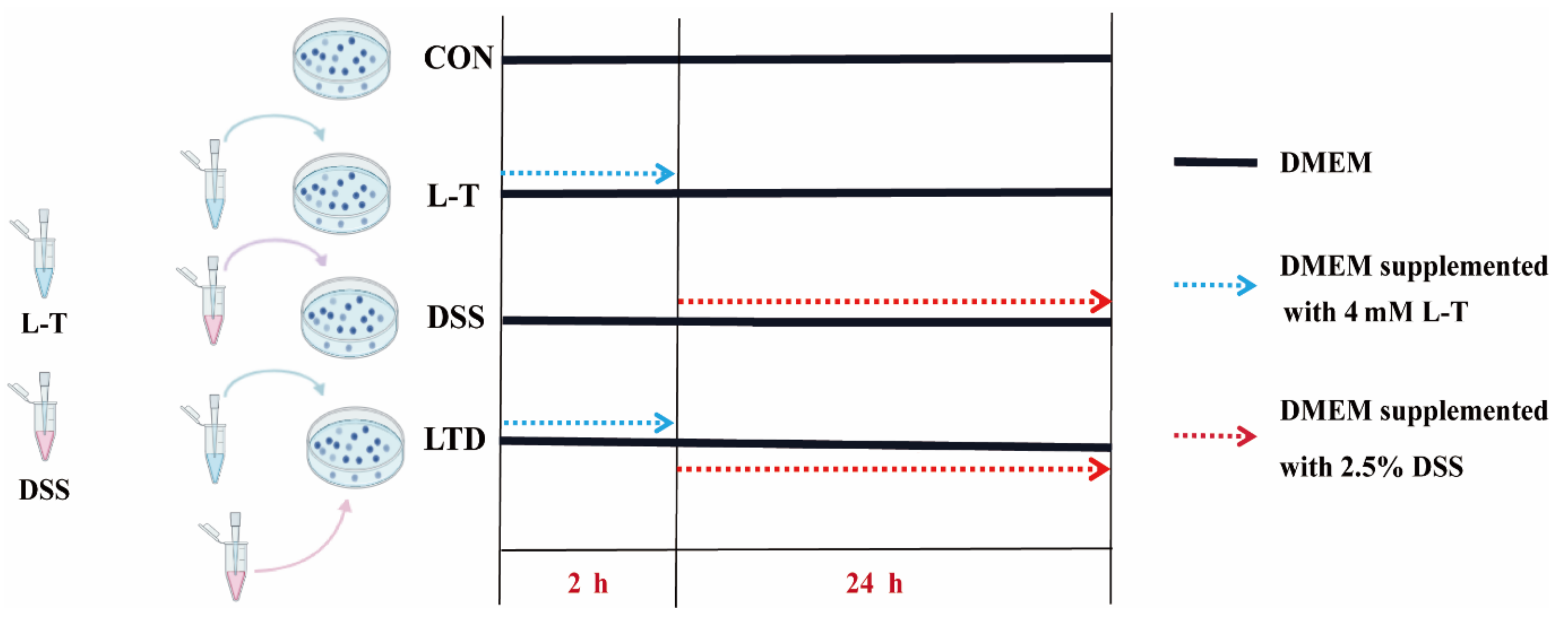 Molecules 26 07002 g007