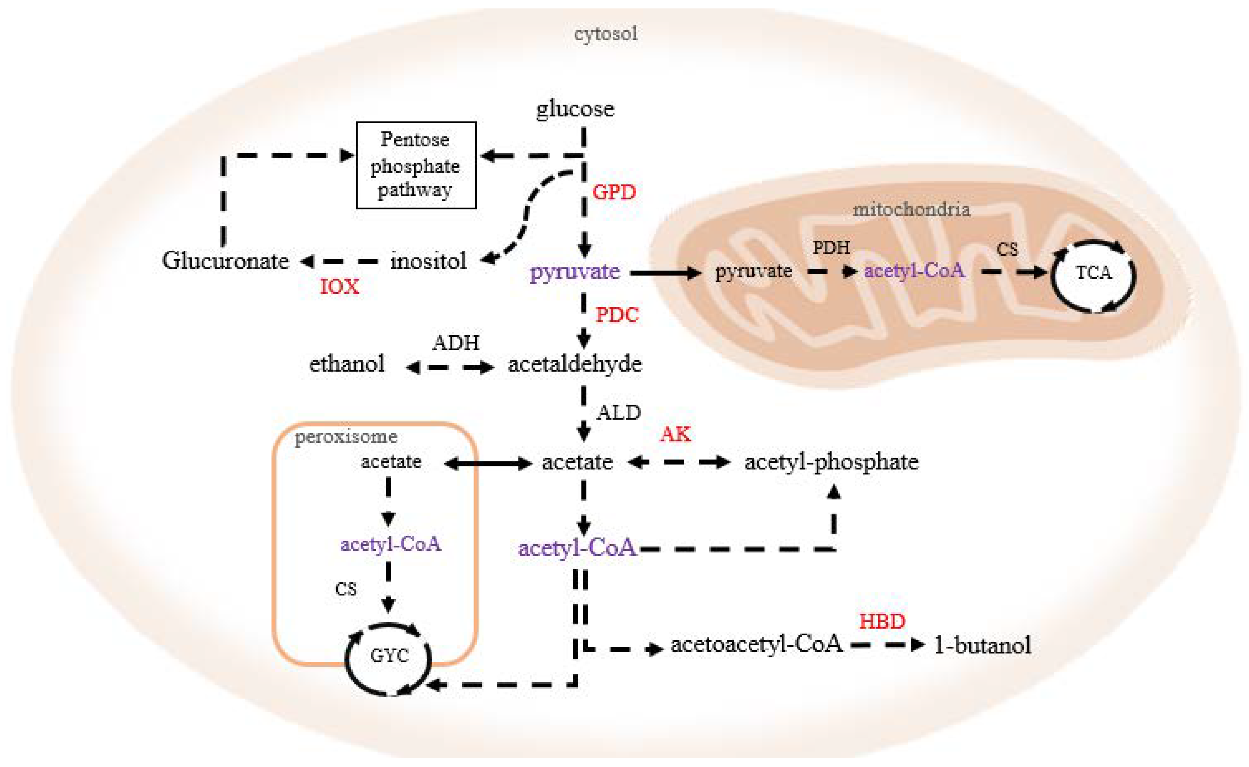 Molecules 26 07011 g007