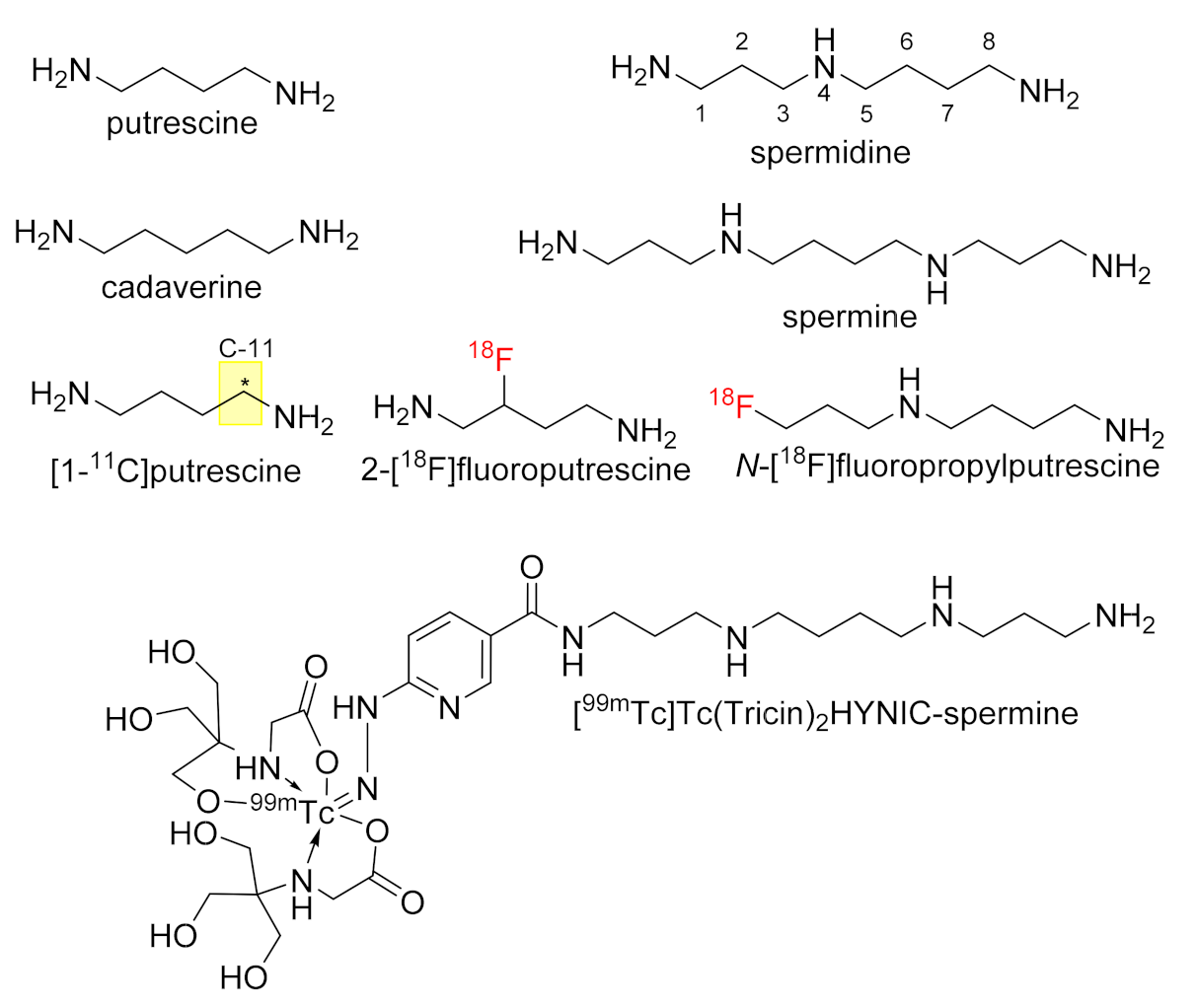 Molecules 26 07012 g001