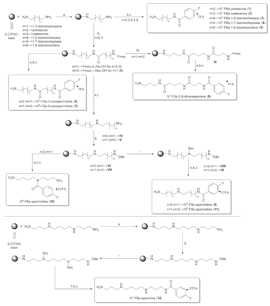 Molecules 26 07012 sch001