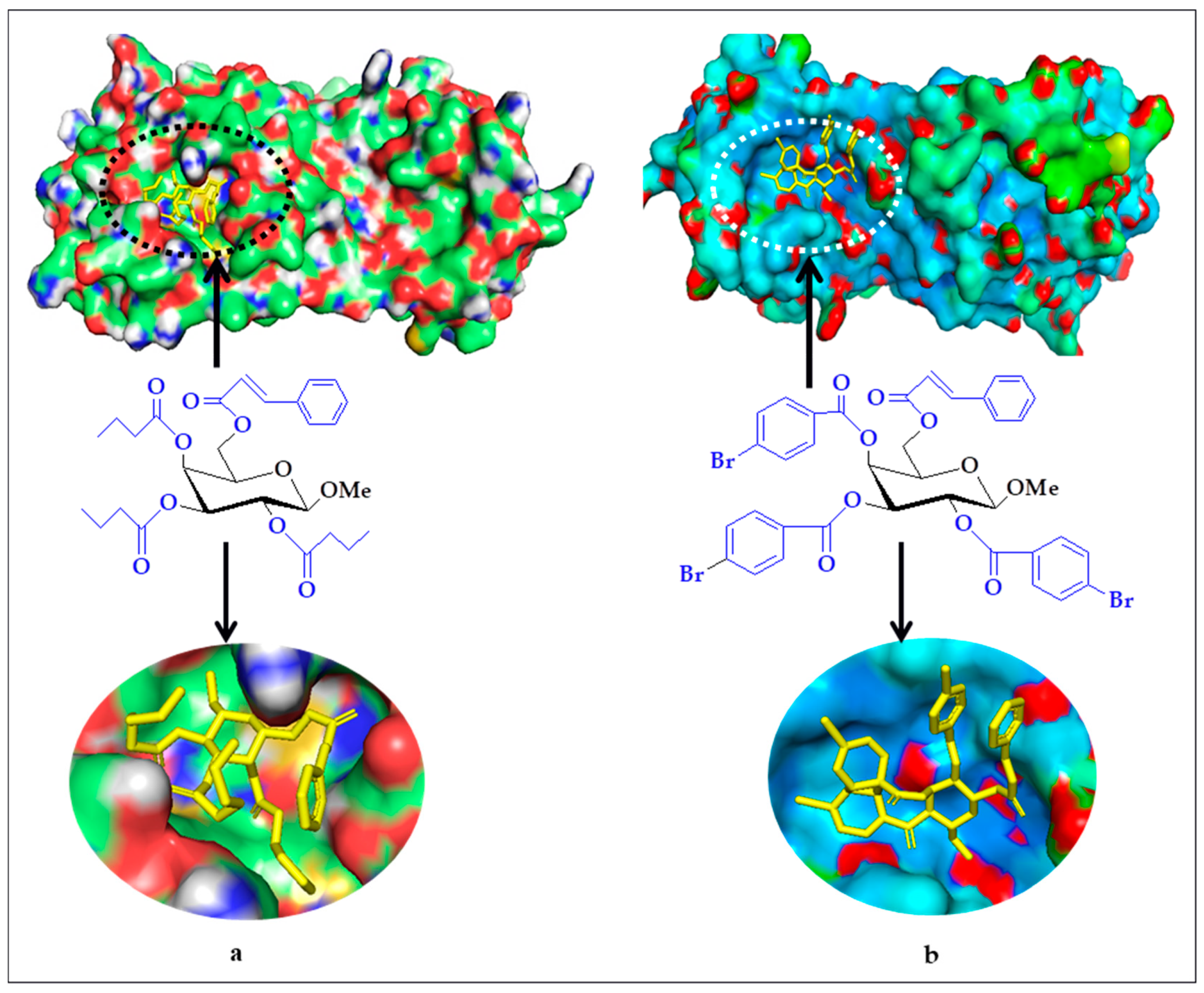Molecules 26 07016 g005 550