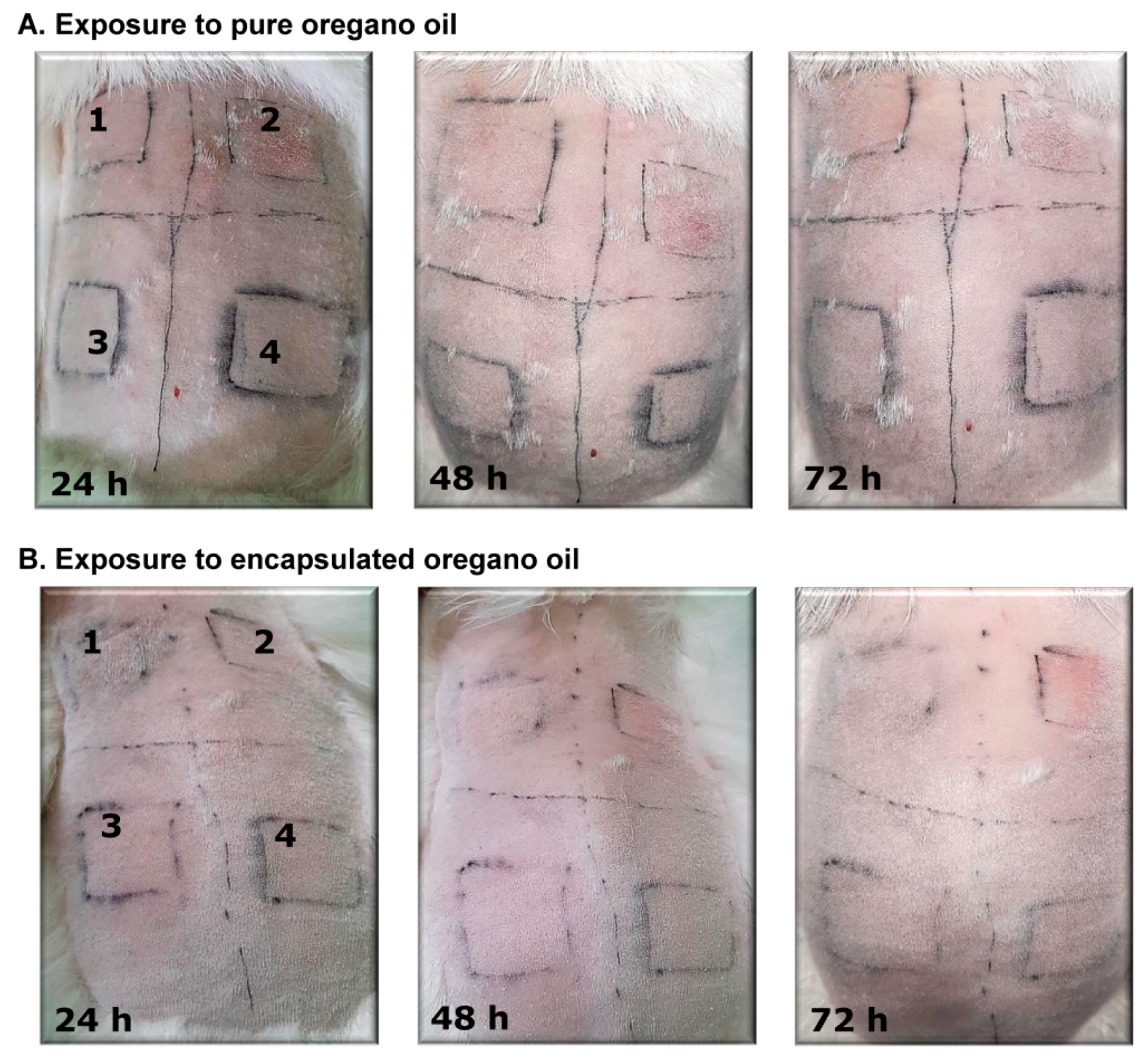 Molecules 26 07017 g007
