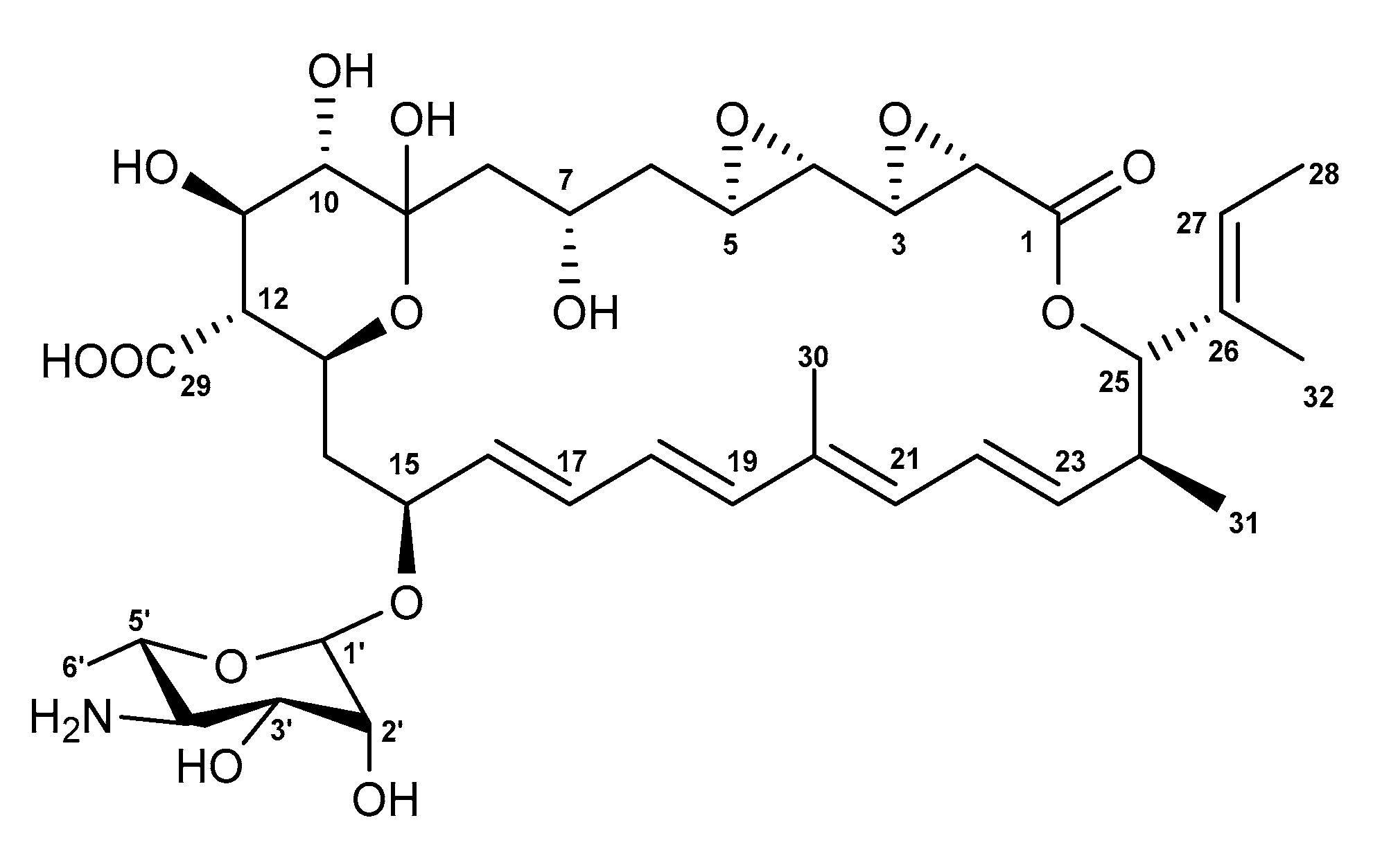 Molecules 26 07020 g001