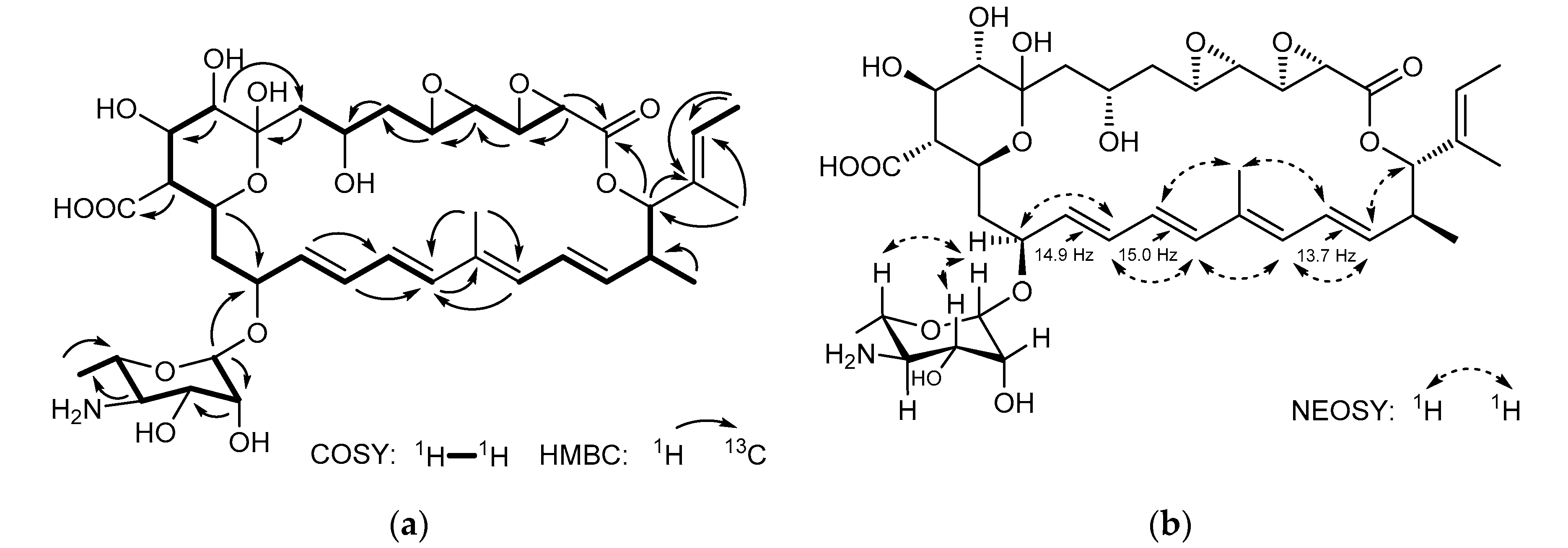 Molecules 26 07020 g003