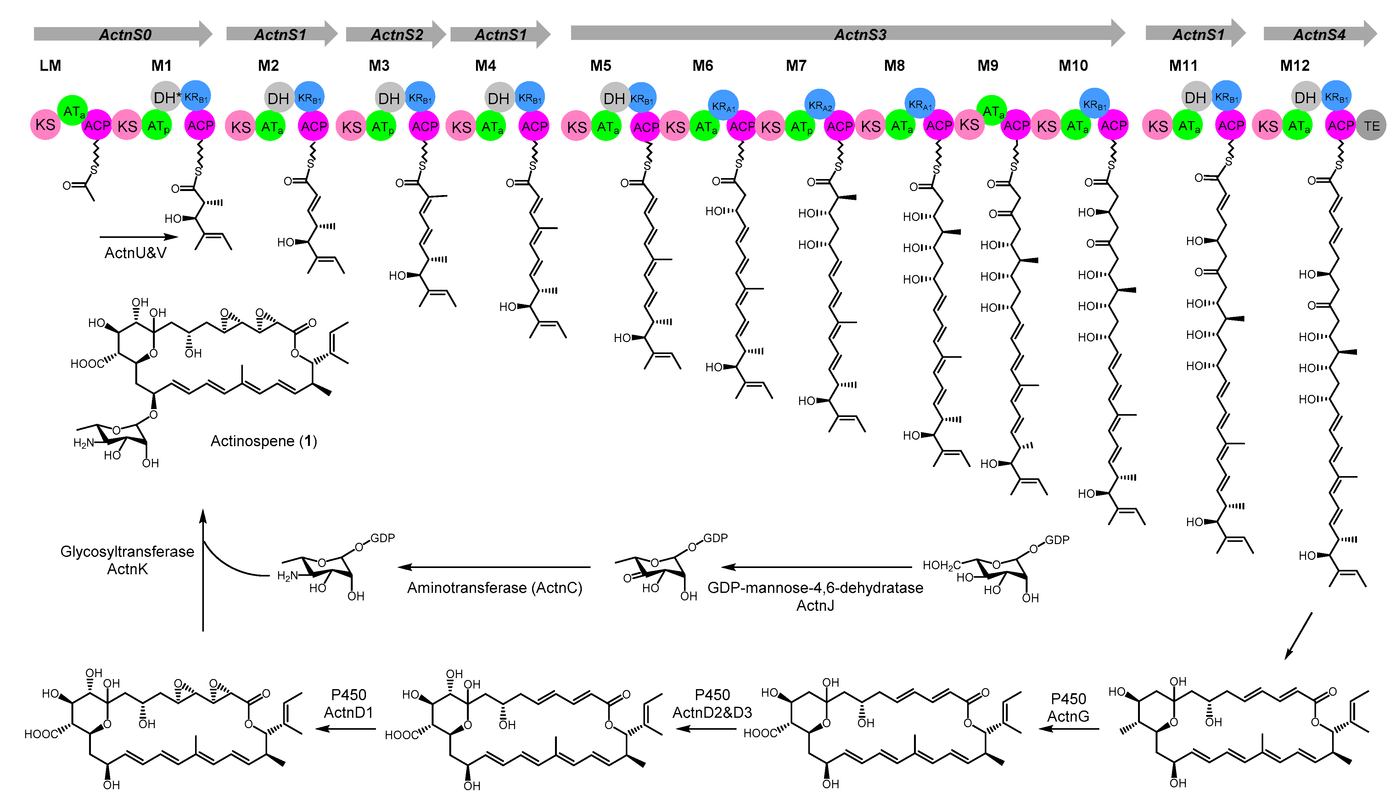 Molecules 26 07020 g005