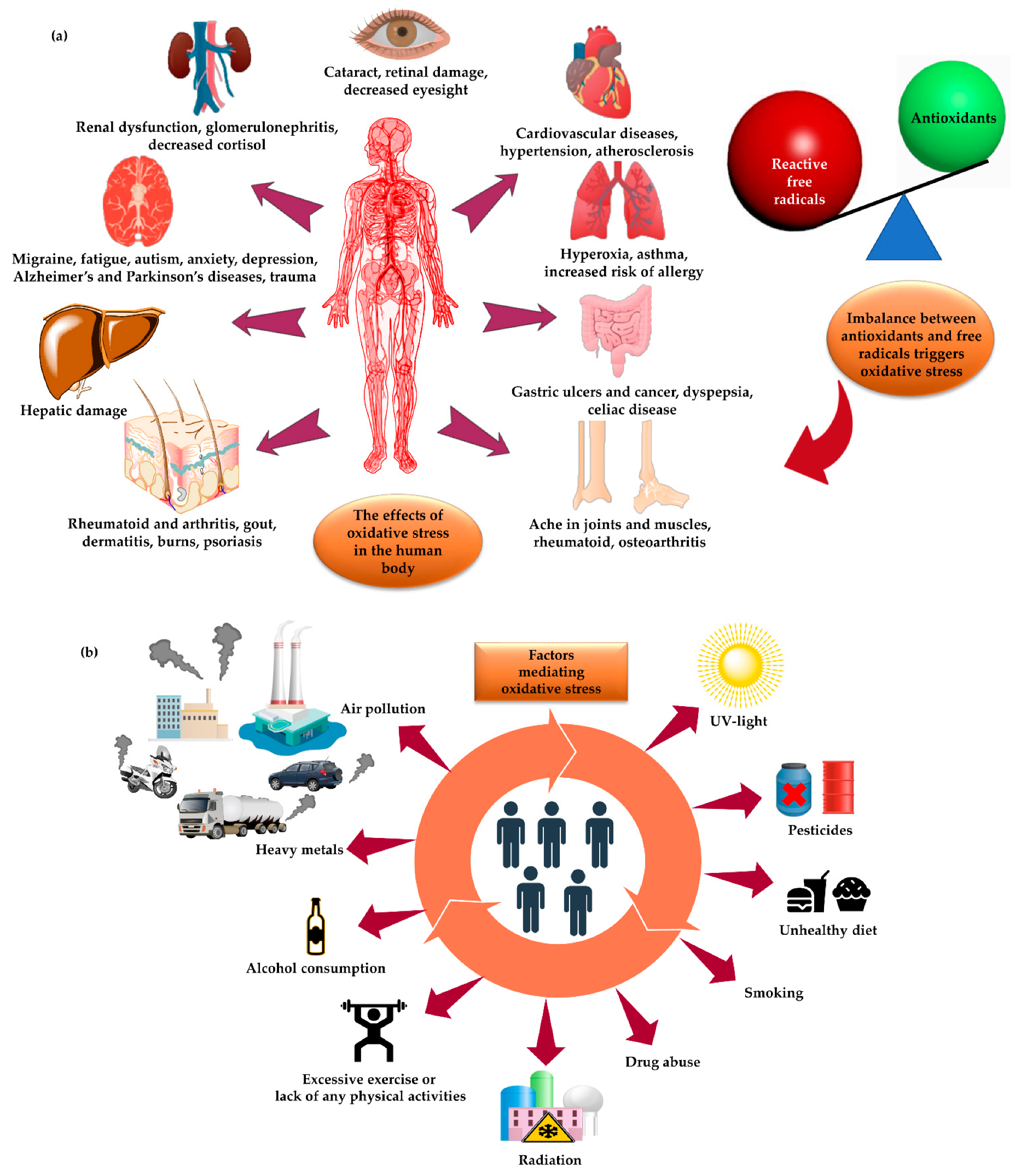 Molecules 26 07031 g001