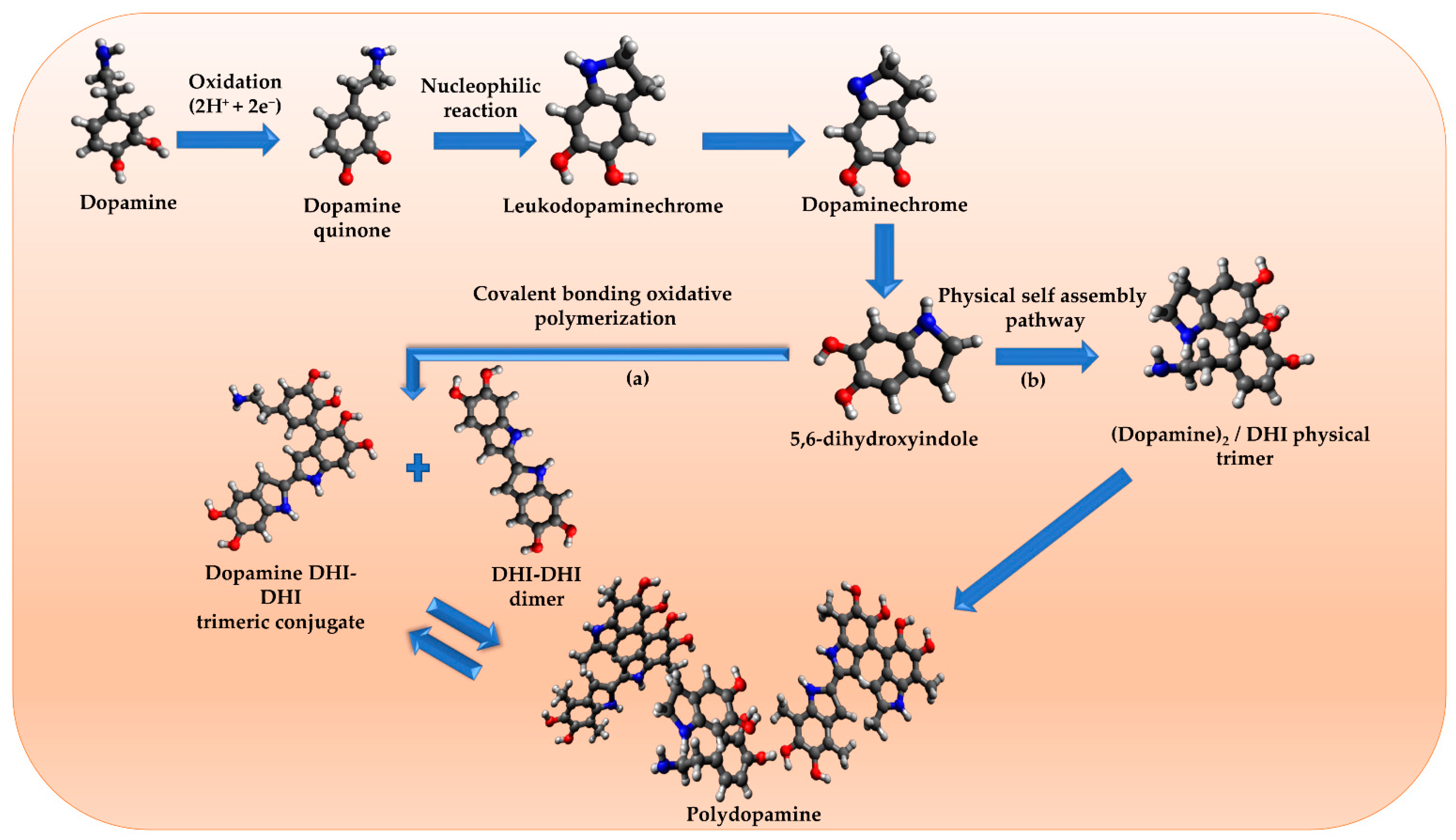 Molecules 26 07031 g006