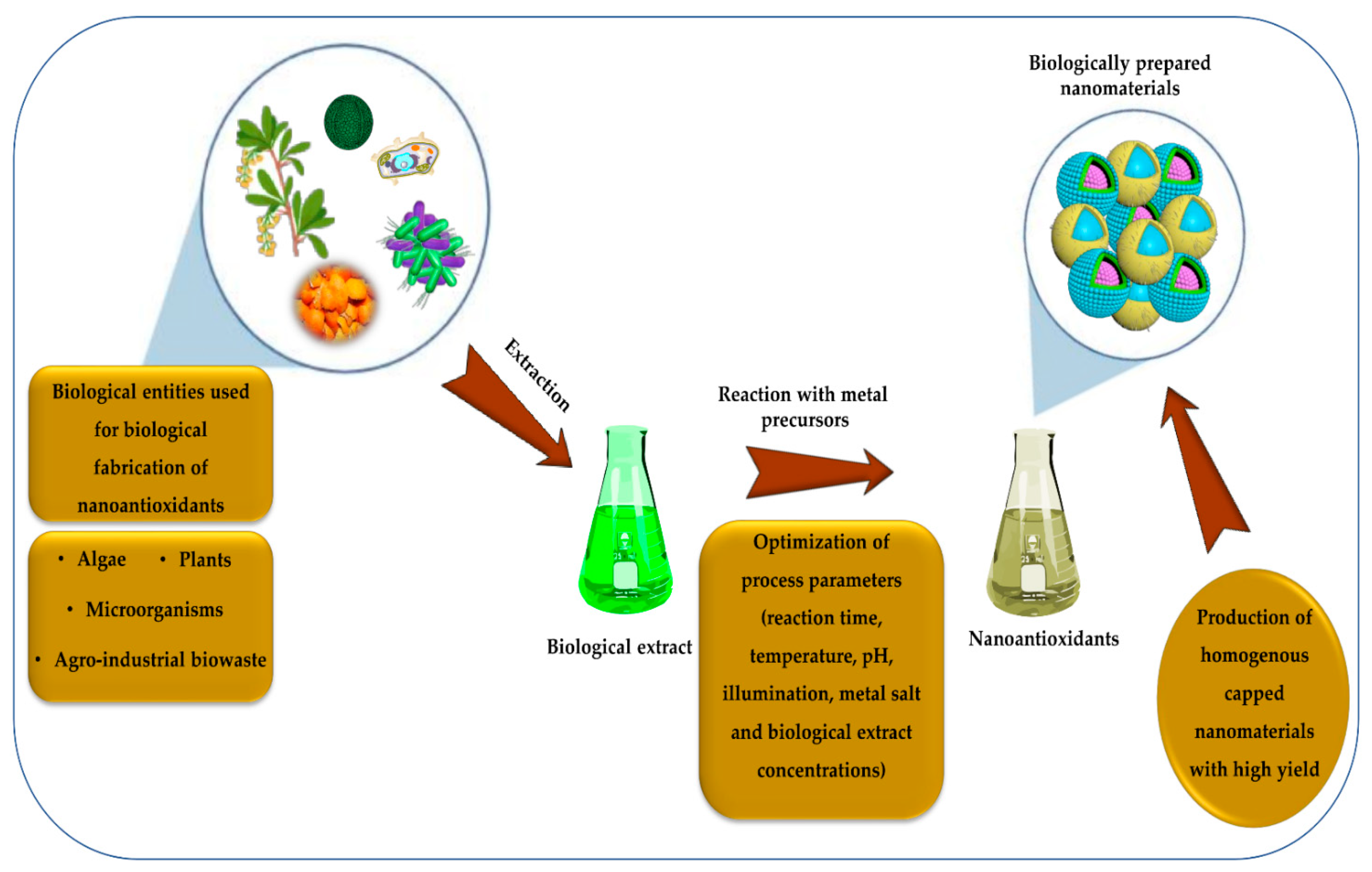 Molecules 26 07031 g008