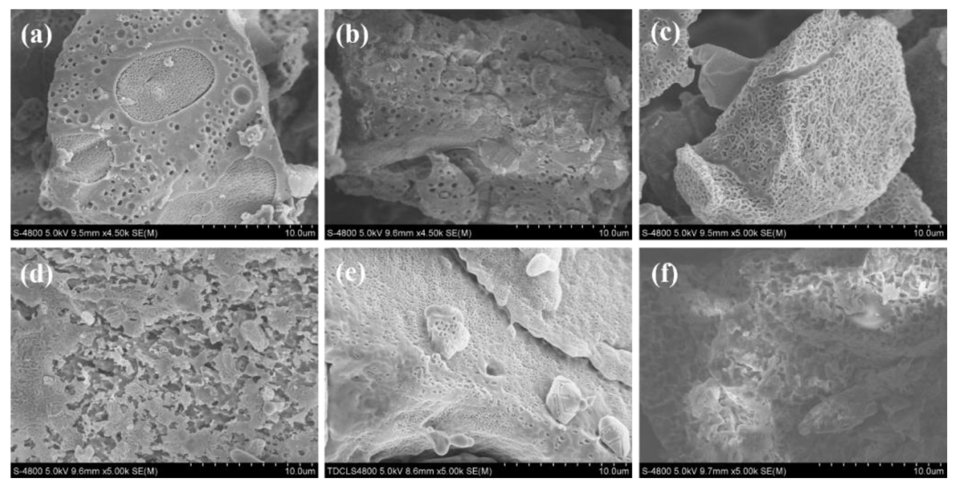 Molecules 26 07039 g004