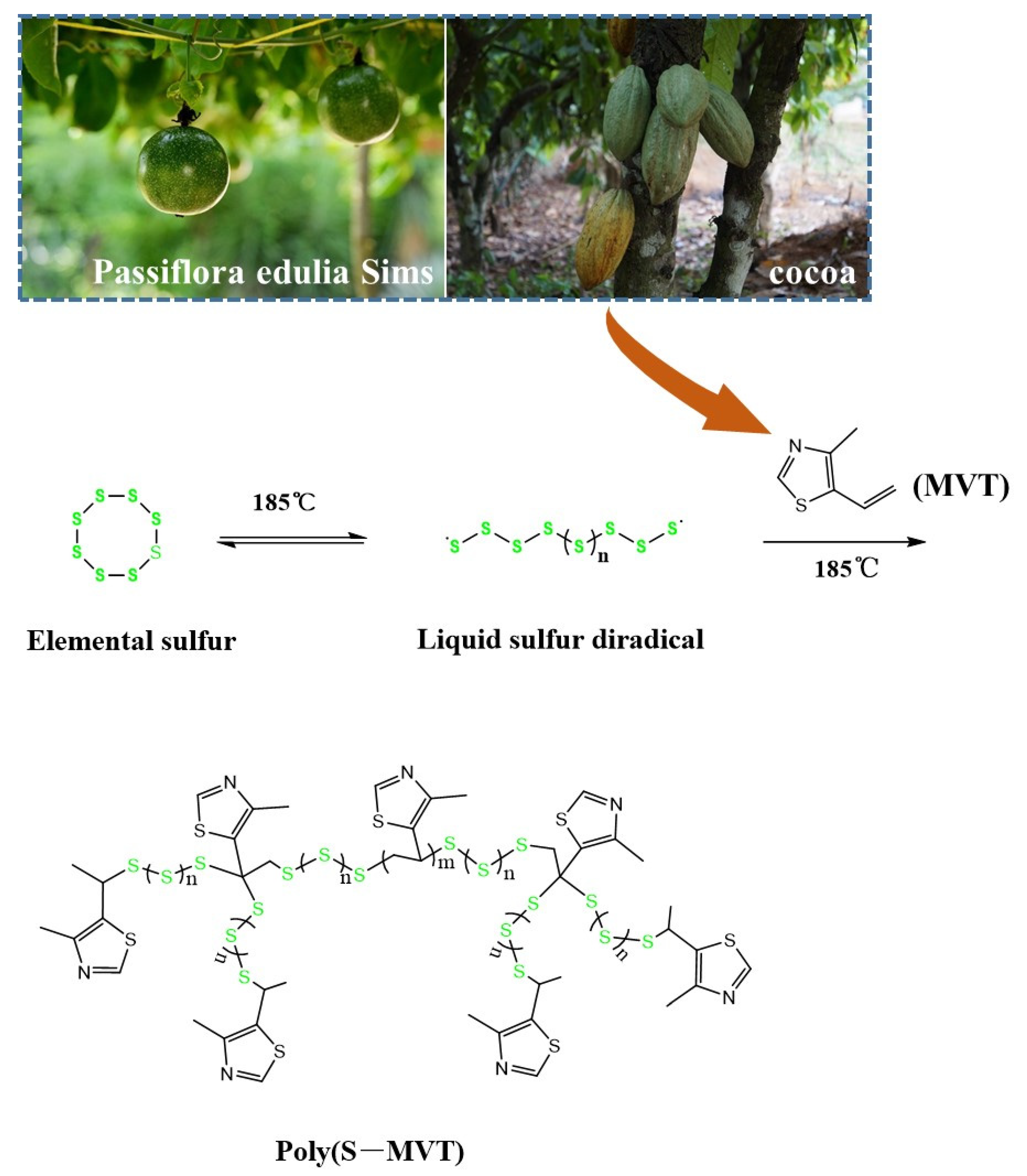 Molecules 26 07039 sch001