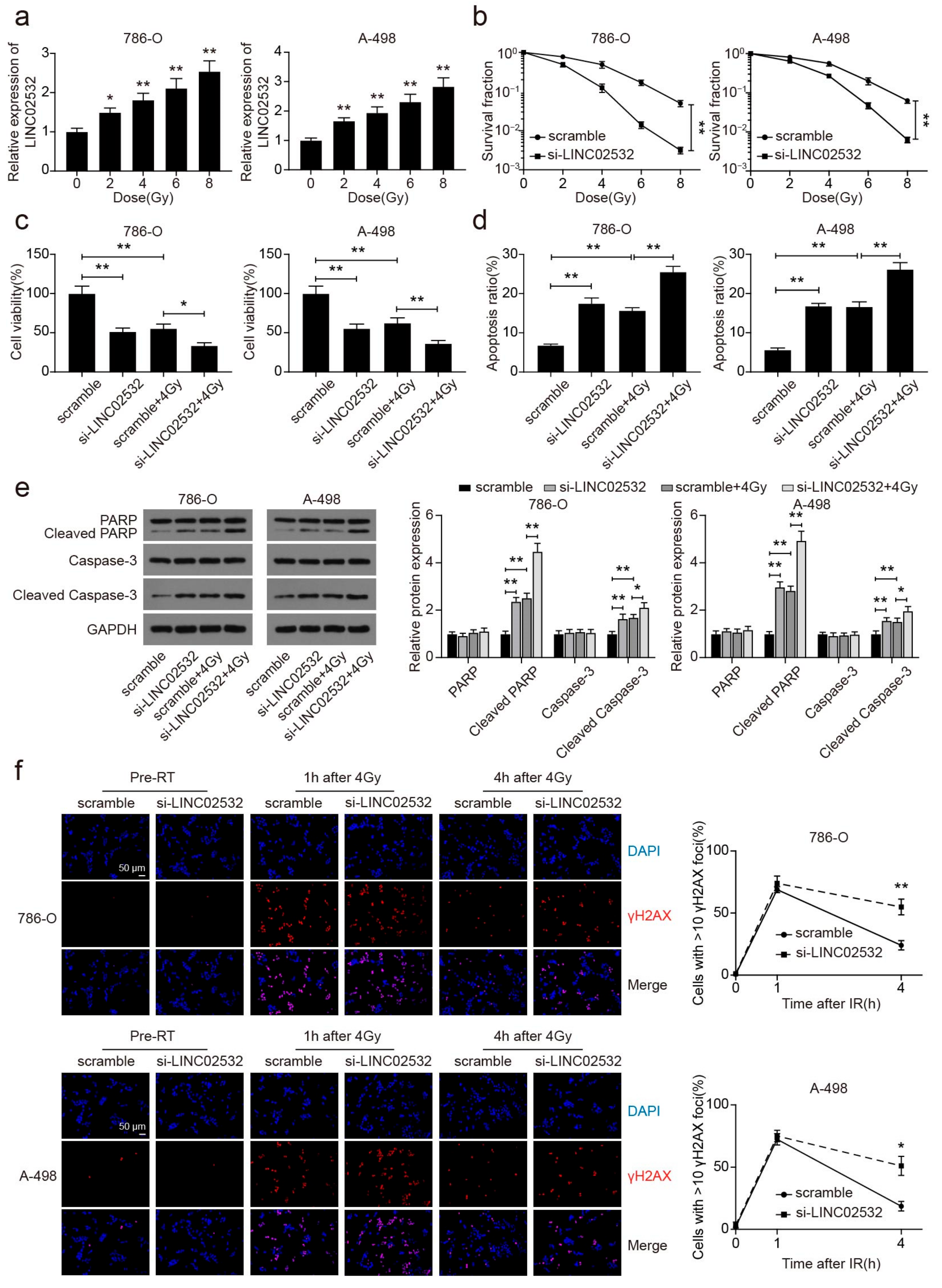Molecules 26 07040 g002 550
