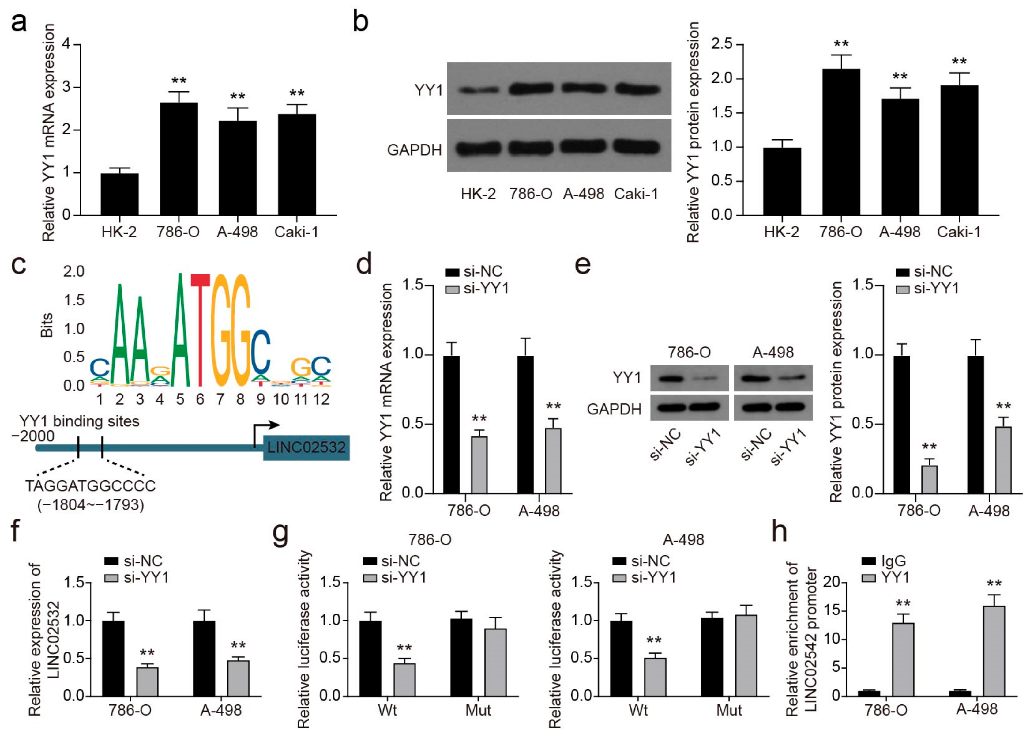 Molecules 26 07040 g003 550