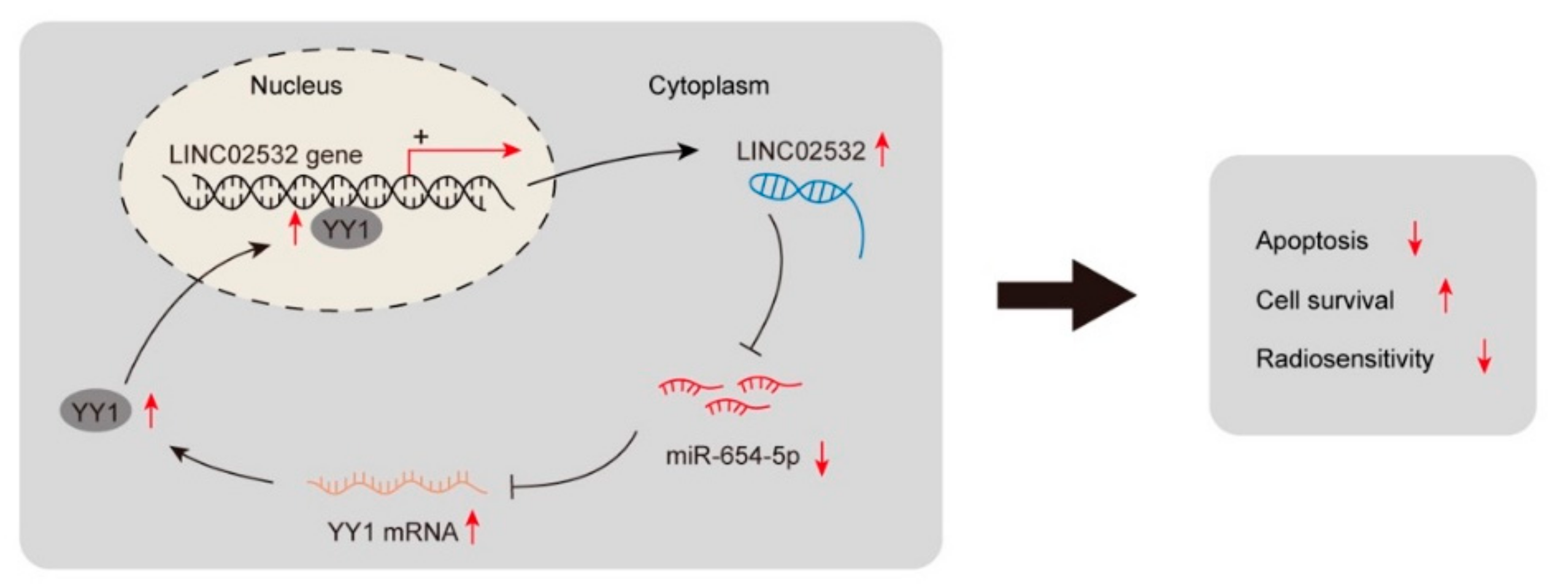 Molecules 26 07040 g008 550
