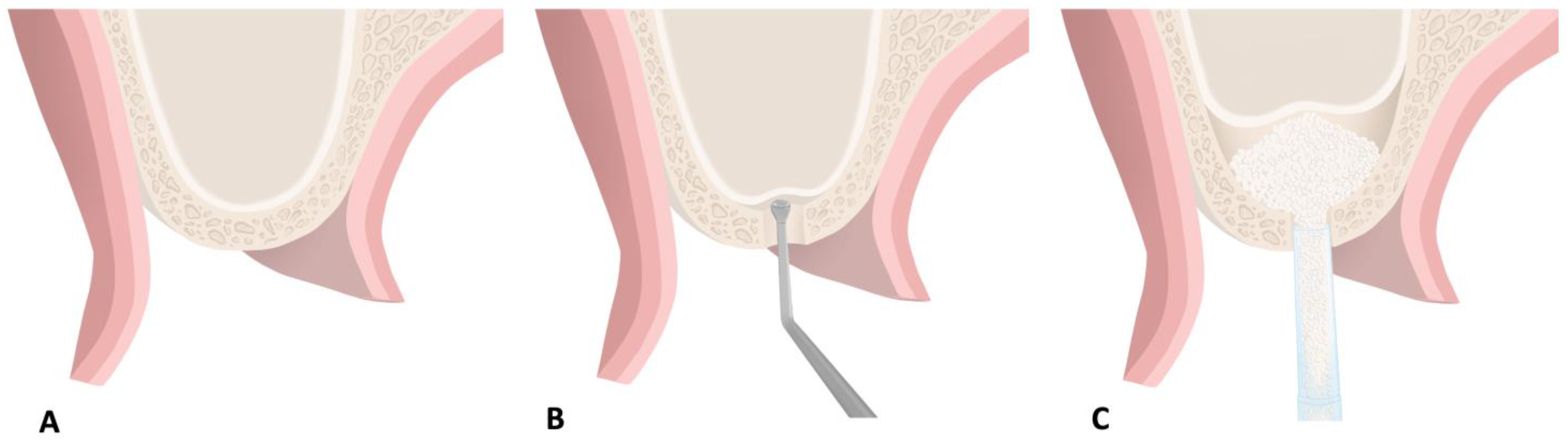 Molecules 26 07043 g003