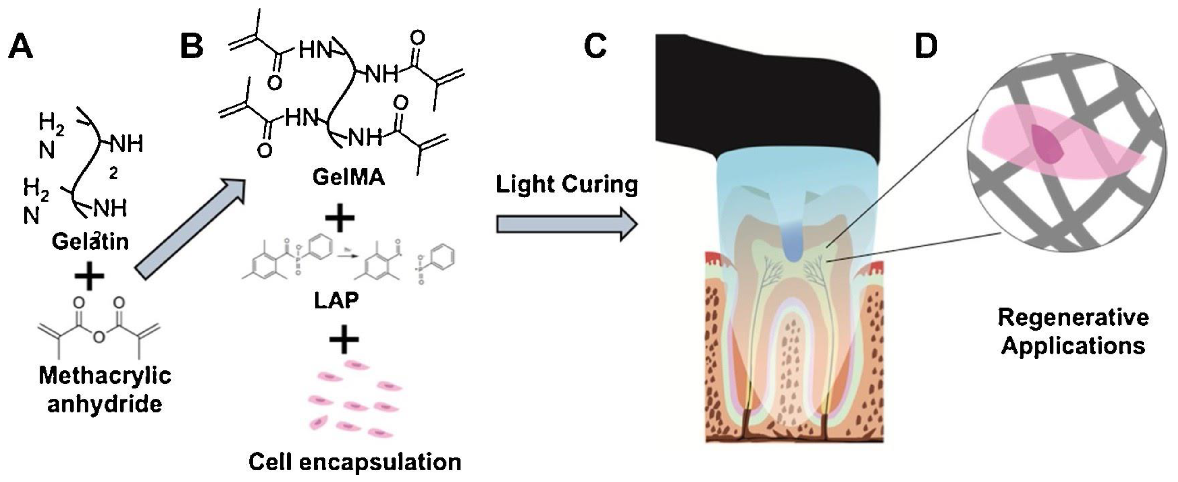 Molecules 26 07043 g006
