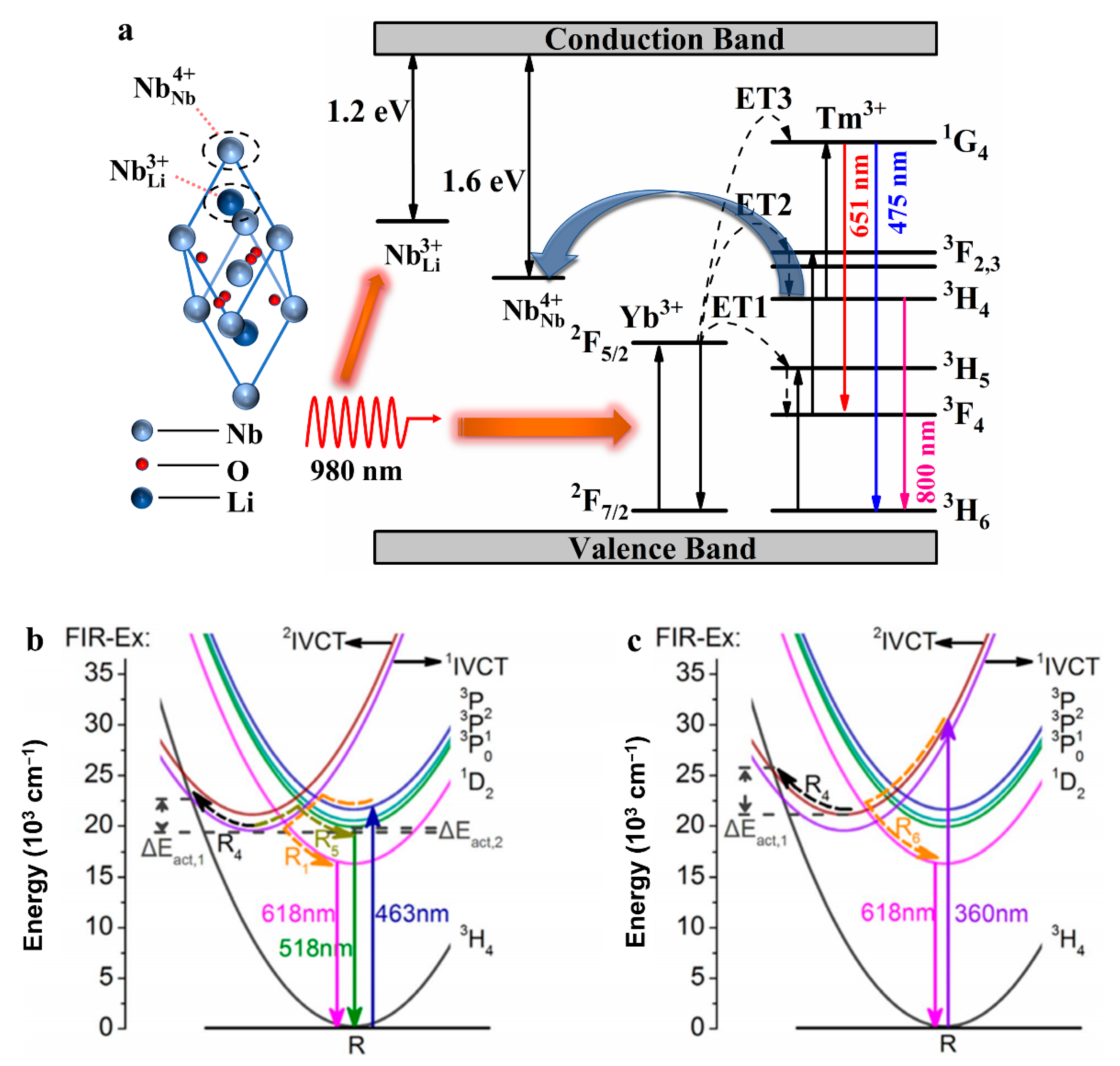 Molecules 26 07044 g005
