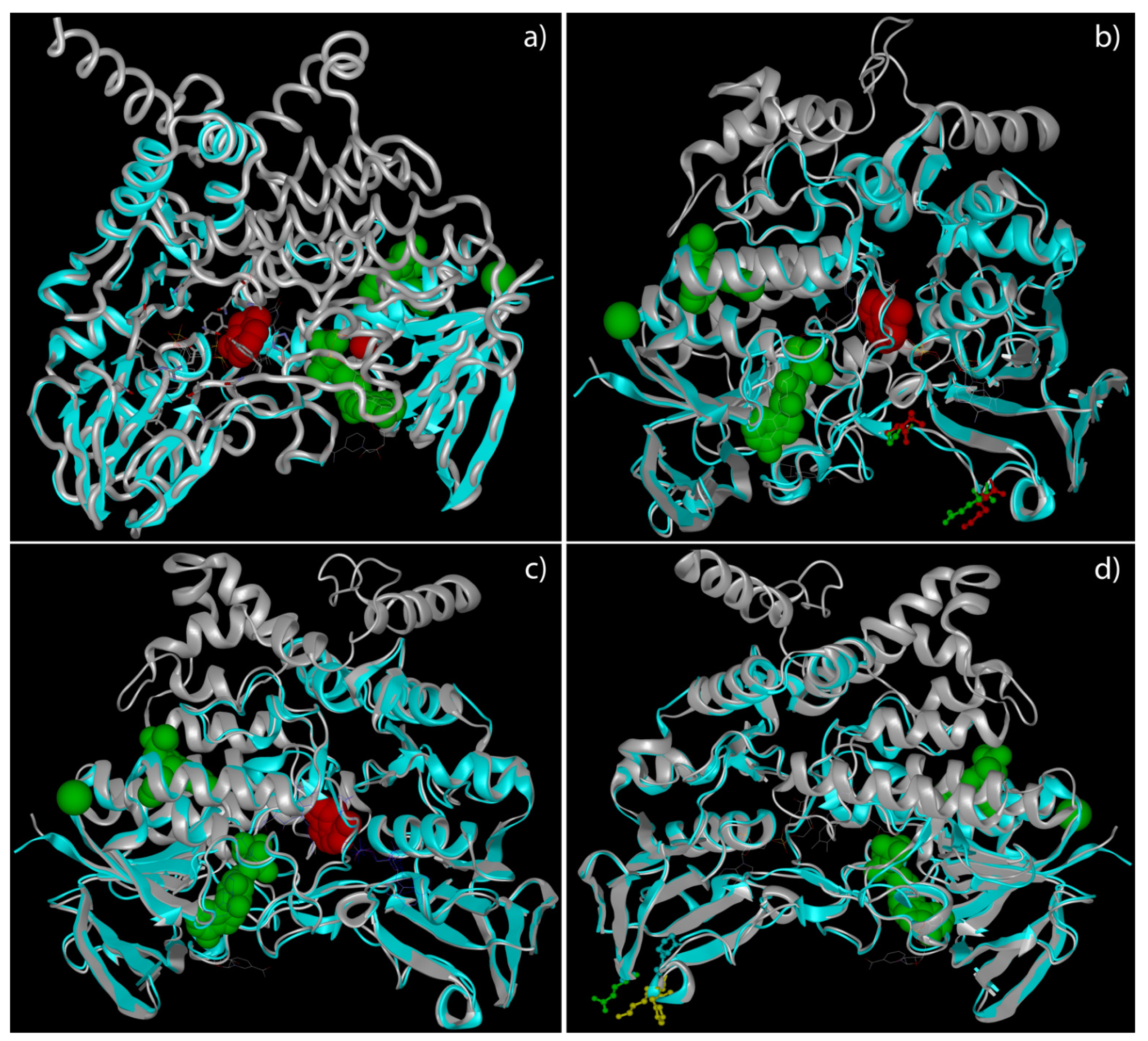 Molecules 26 07045 g002