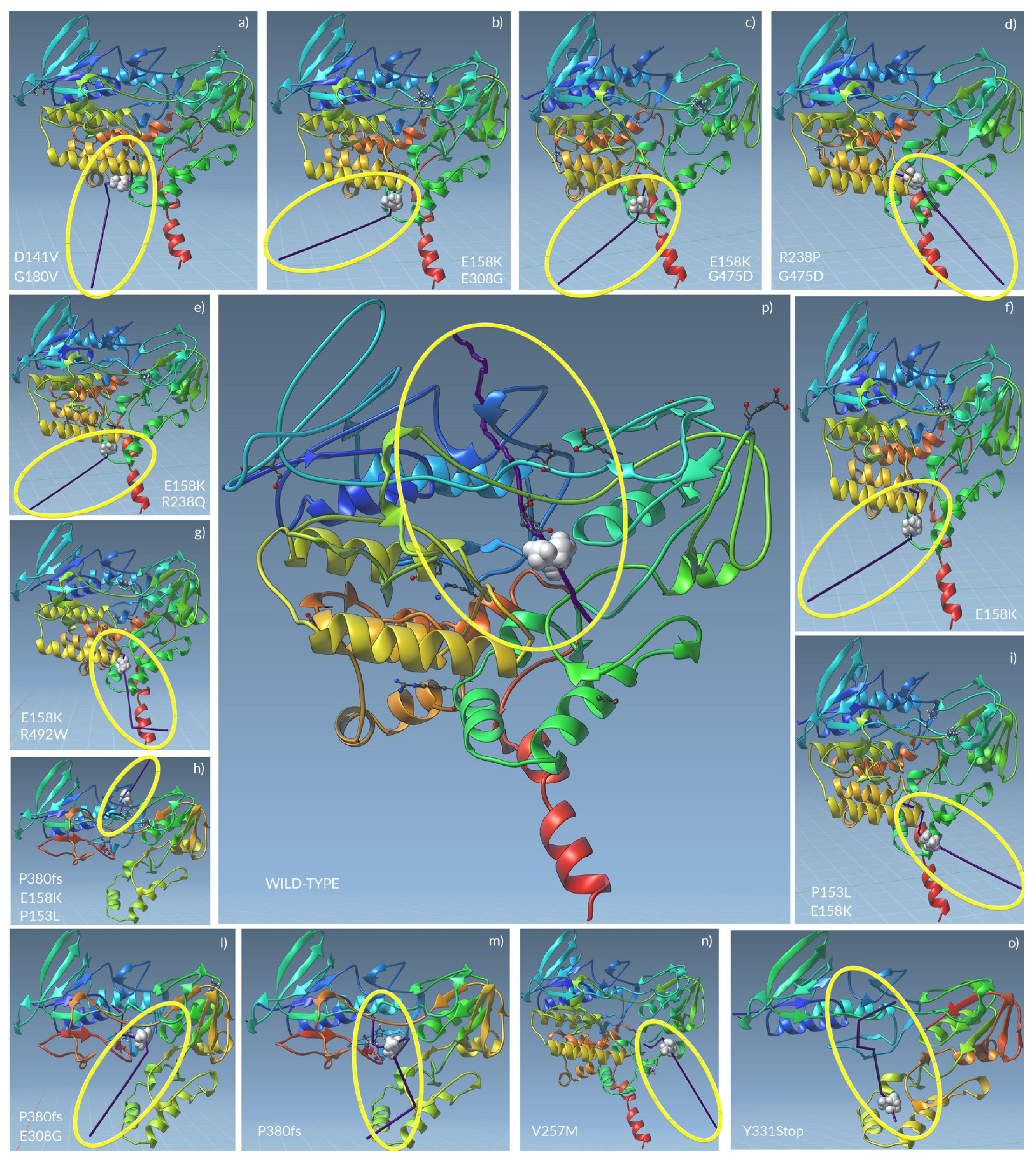 Molecules 26 07045 g004