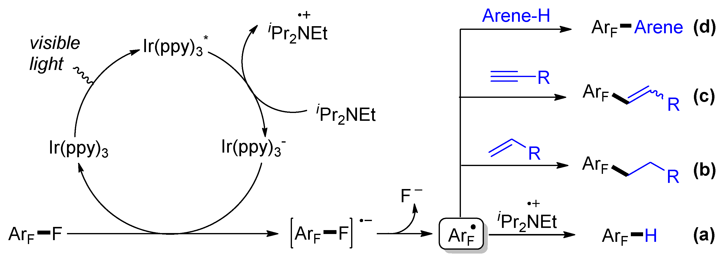 Molecules 26 07051 sch003 550