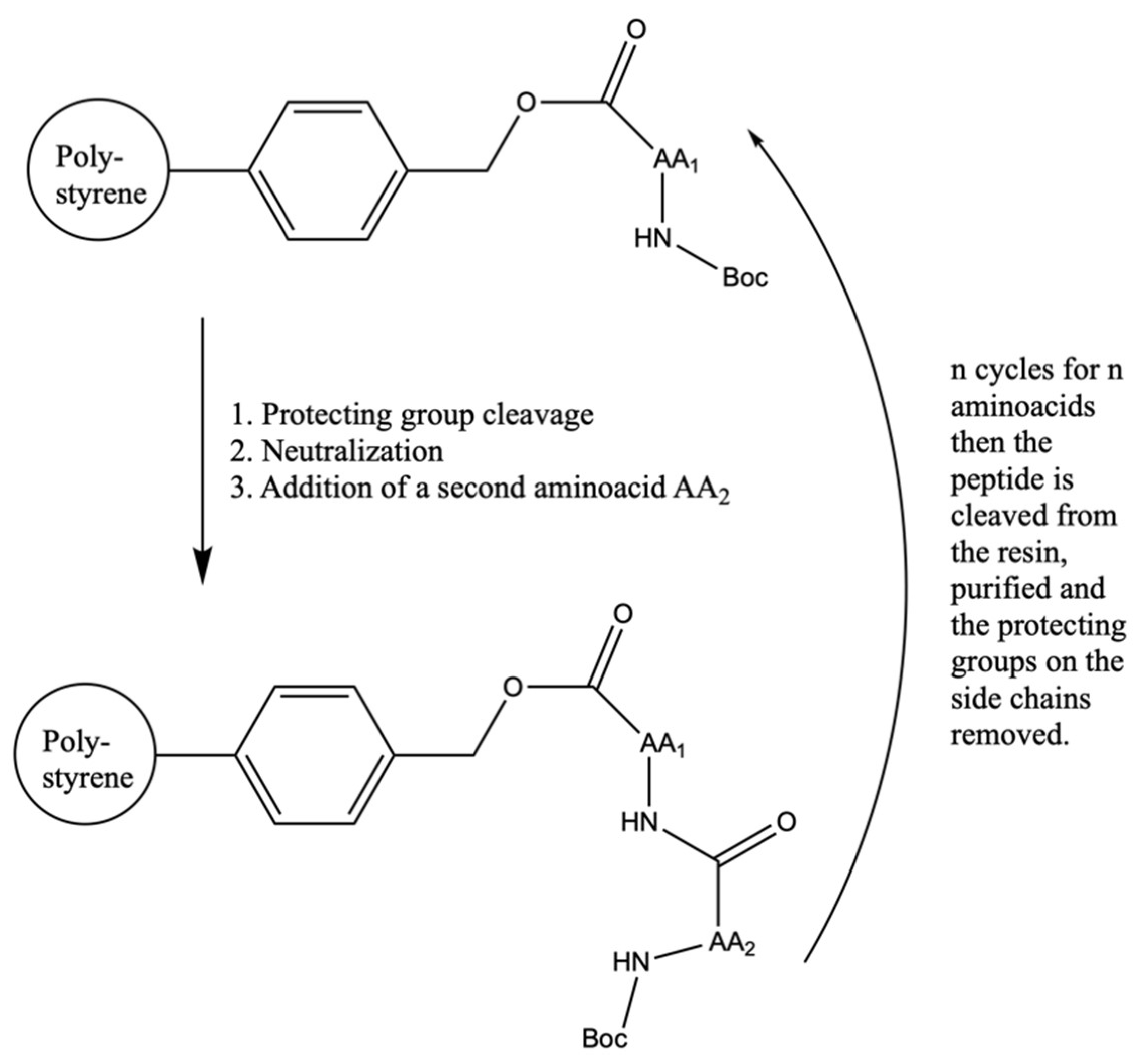 Molecules 26 07061 g001